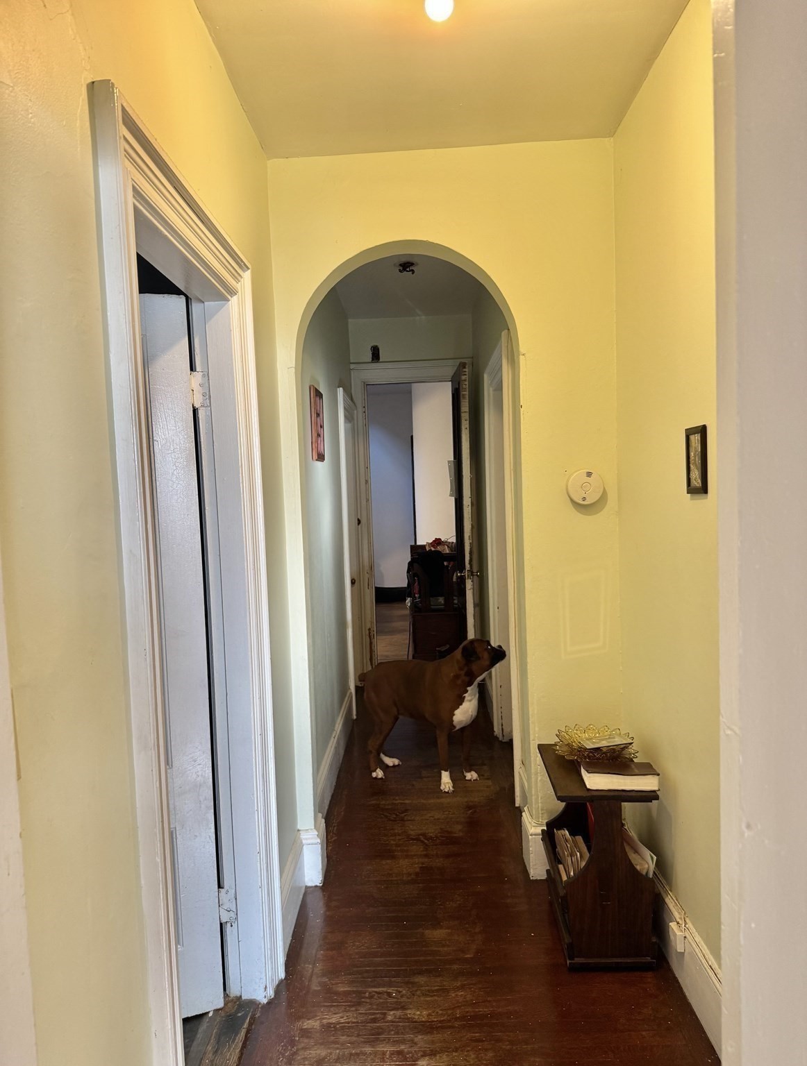 495 Warren St., Roxbury, Boston, MA 02121 - Image 19