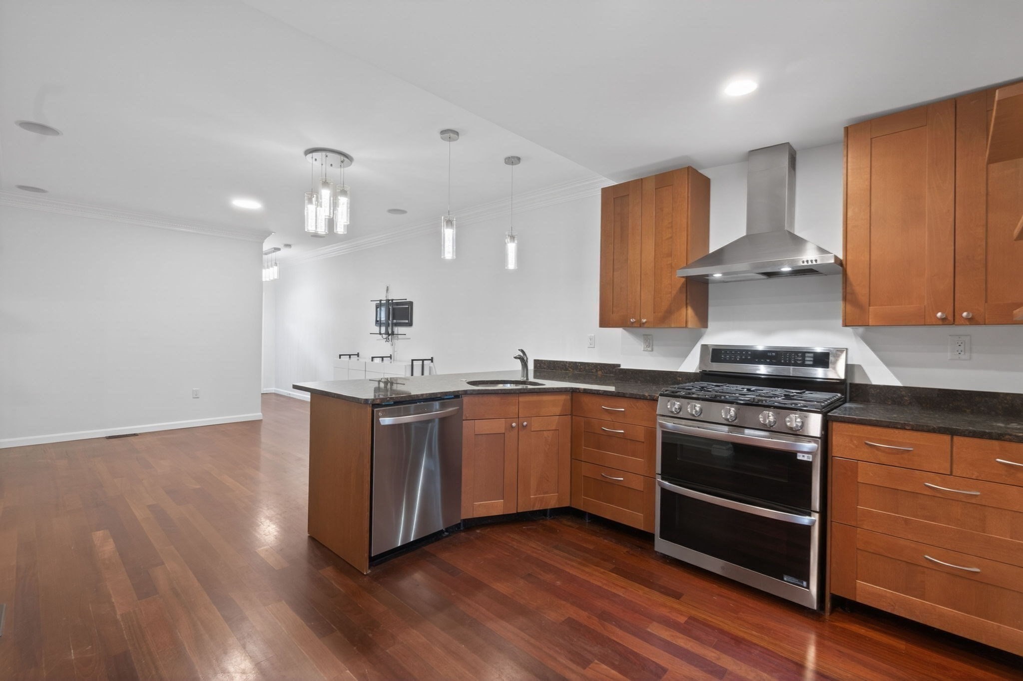 102 Old Harbor Street Unit 1, South Boston, Boston, MA 02127 - Image 5