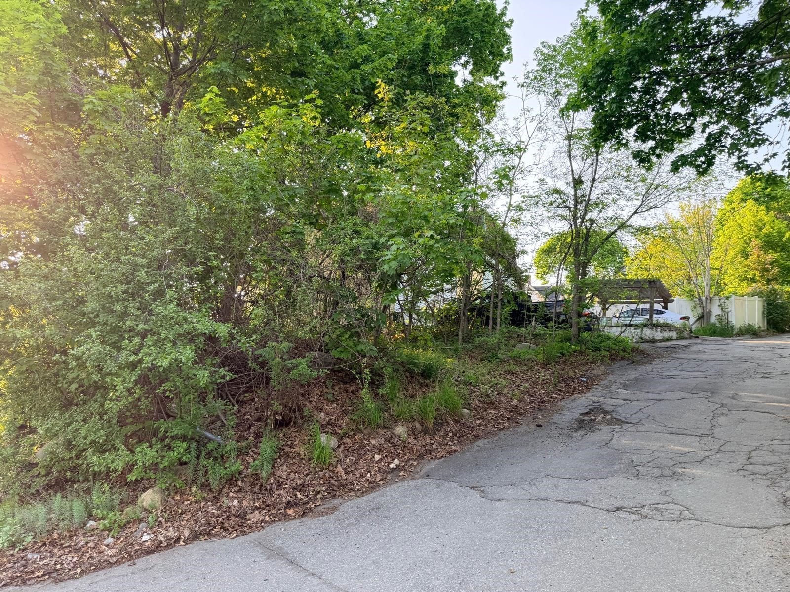 32 Mount Globe St, Fitchburg, MA 01420 - Image 5