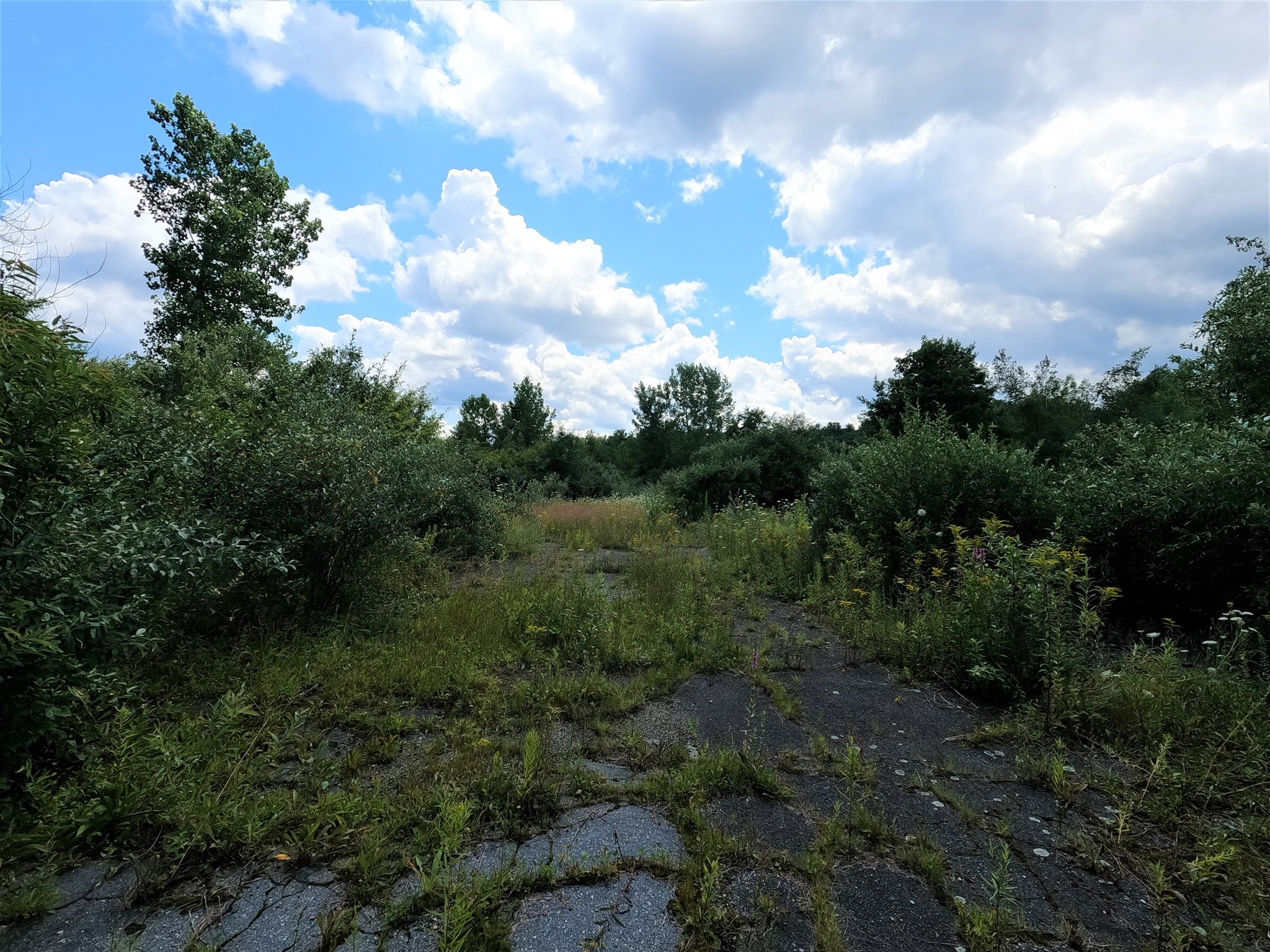65 Mill Street, Templeton, MA 01436