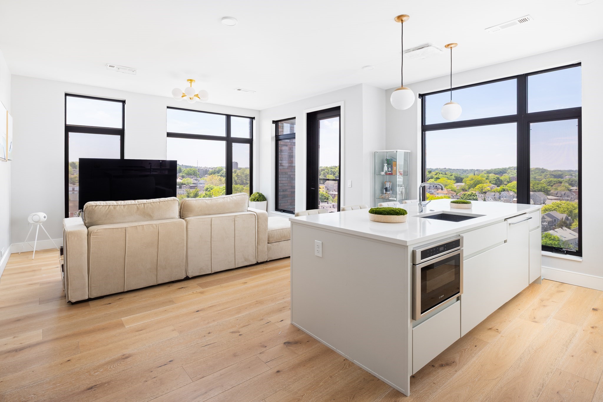 191 Washington Unit 500, Brighton, Boston, MA 02135