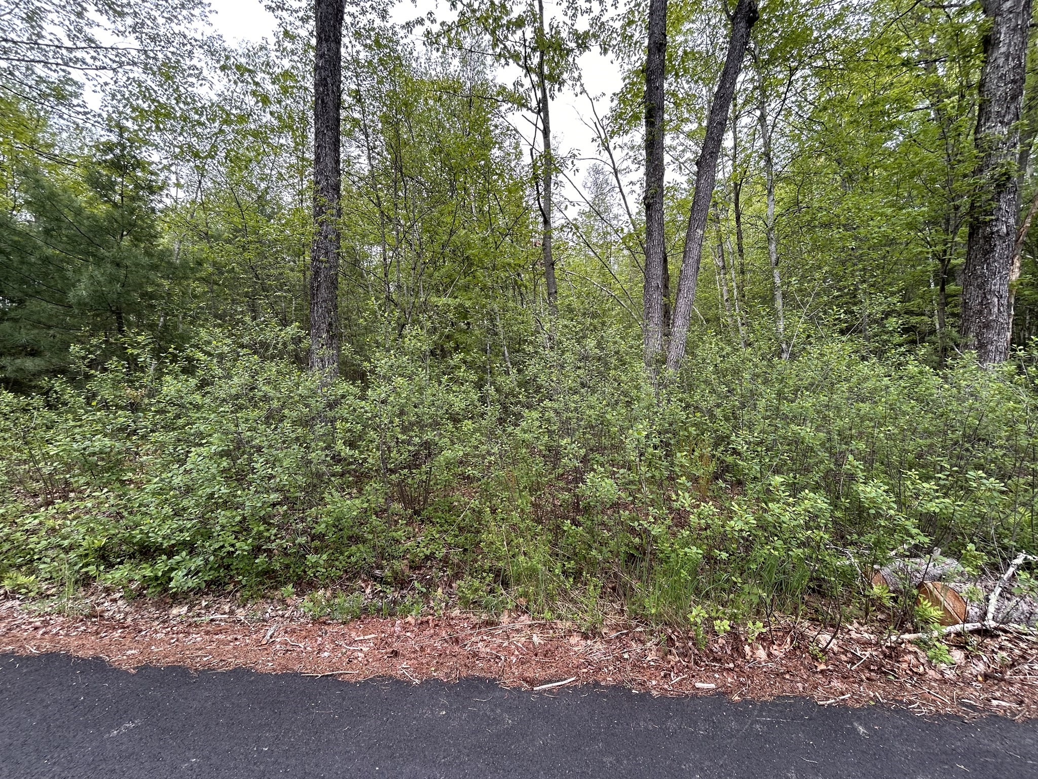 0 Stoddard Rd, Winchendon, MA 01475