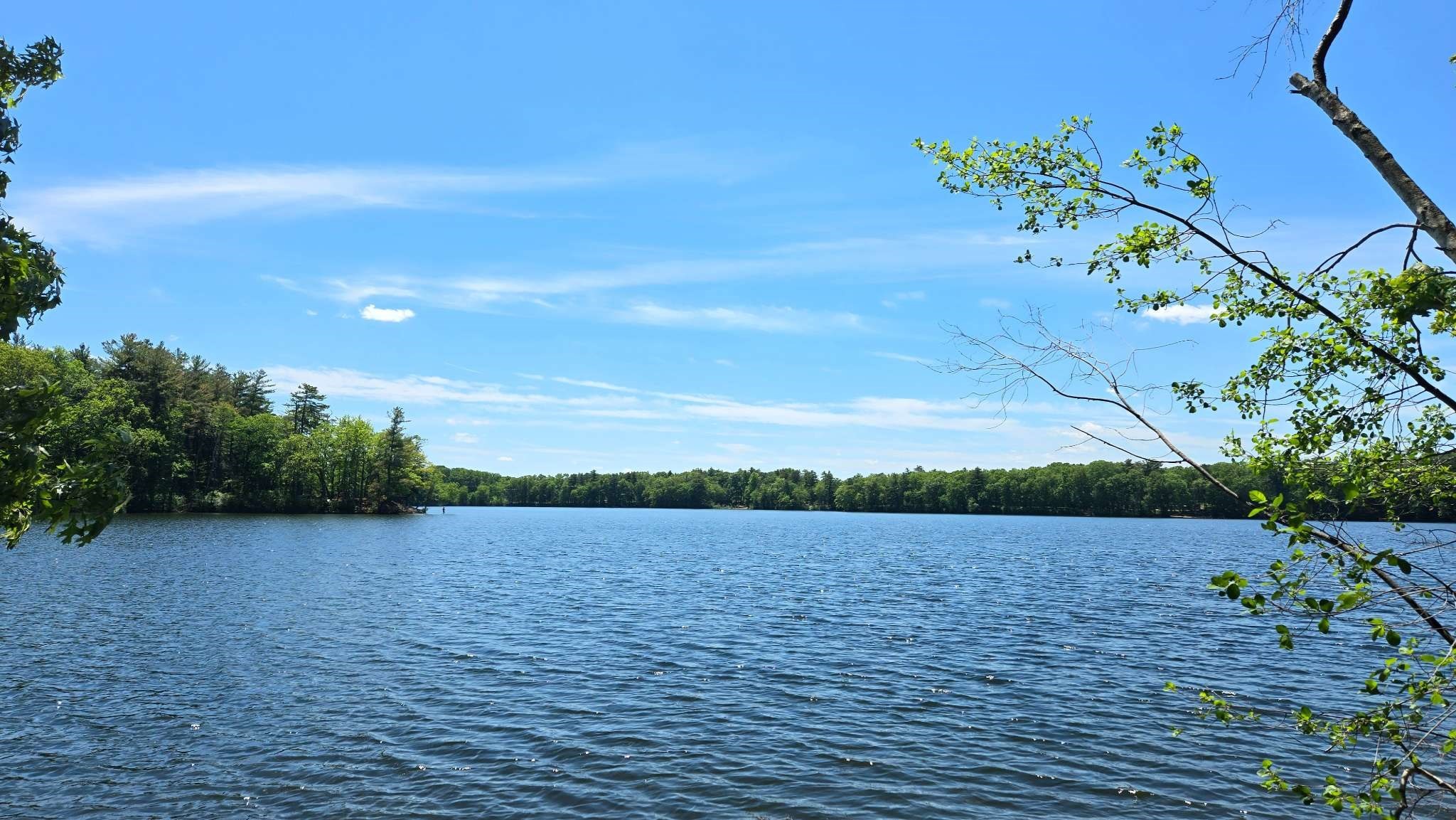 32 Birch Rd, Natick, MA 01760 - Image 30