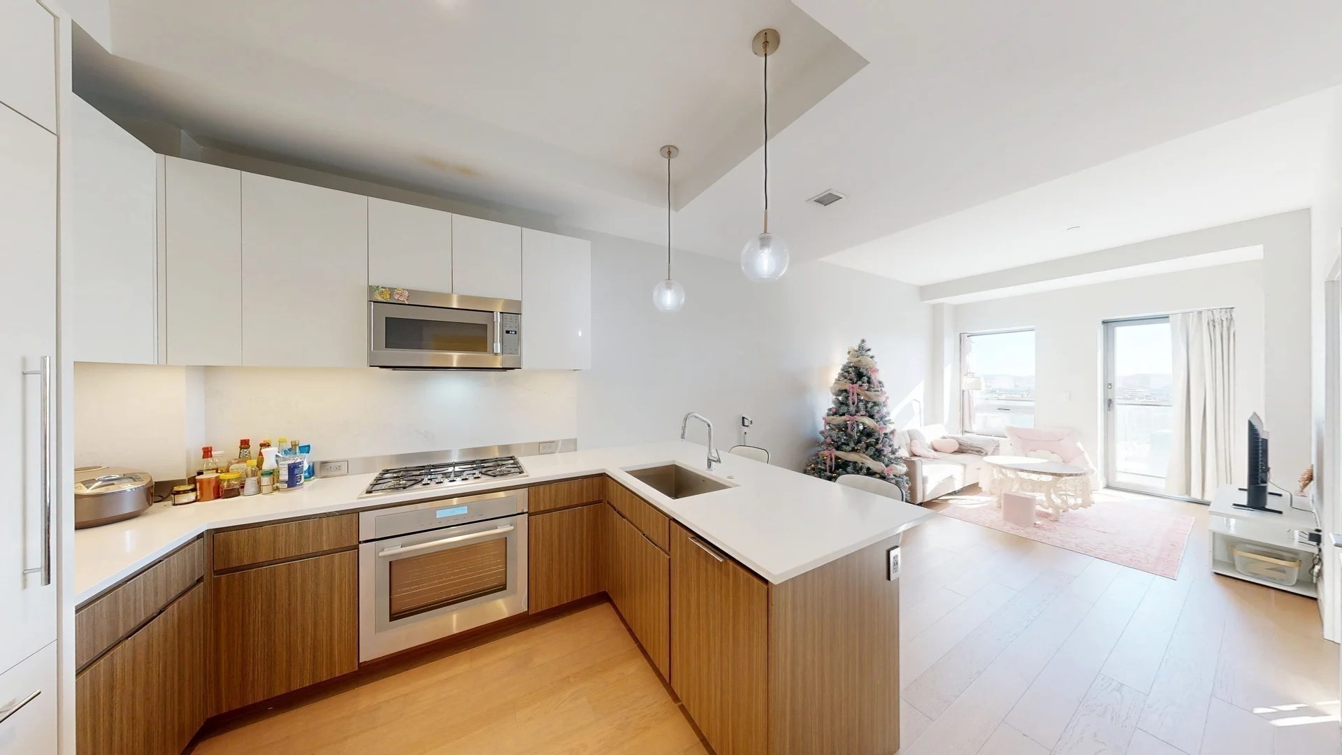 100 Shawmut Ave Unit 1109, South End, Boston, MA 02118