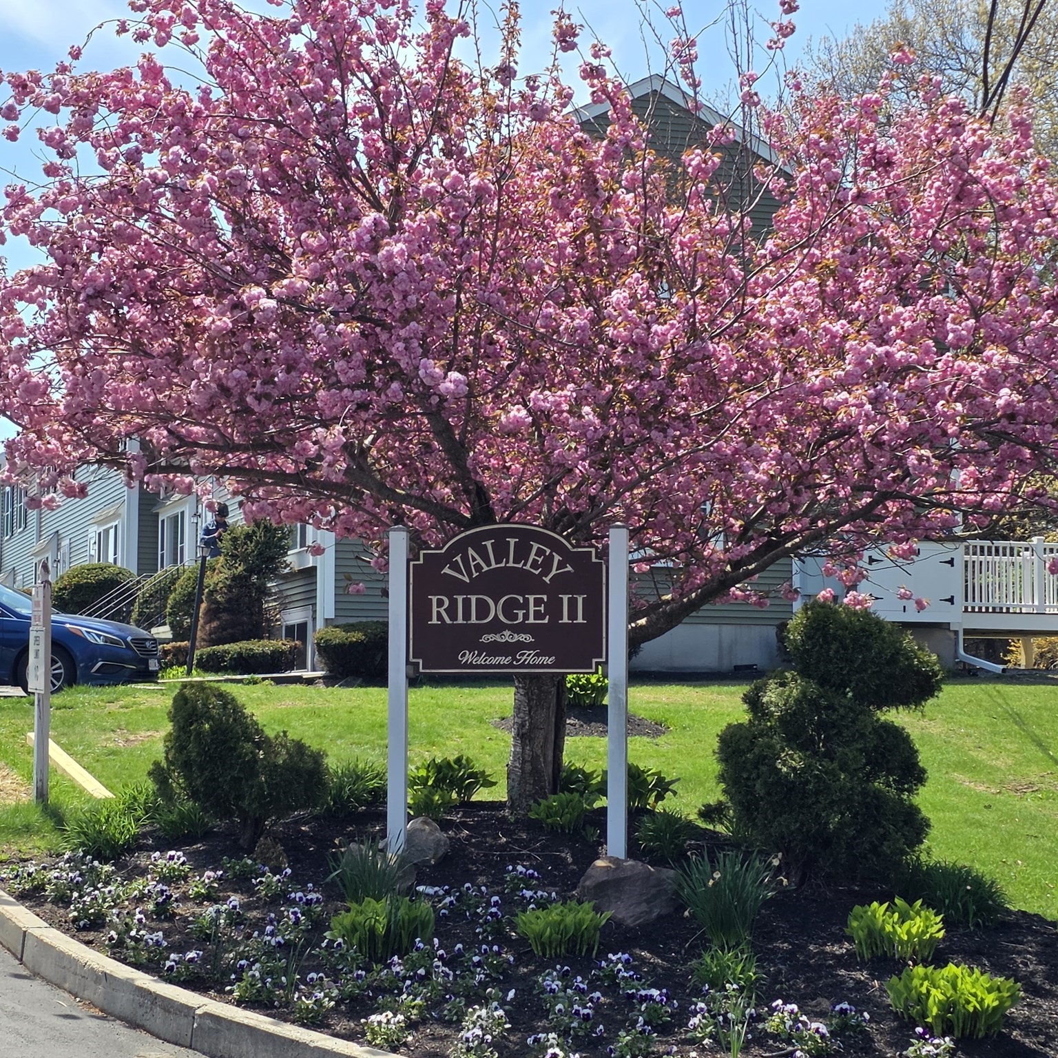 1603 Irving Rd Unit 1603, Randolph, MA 02368