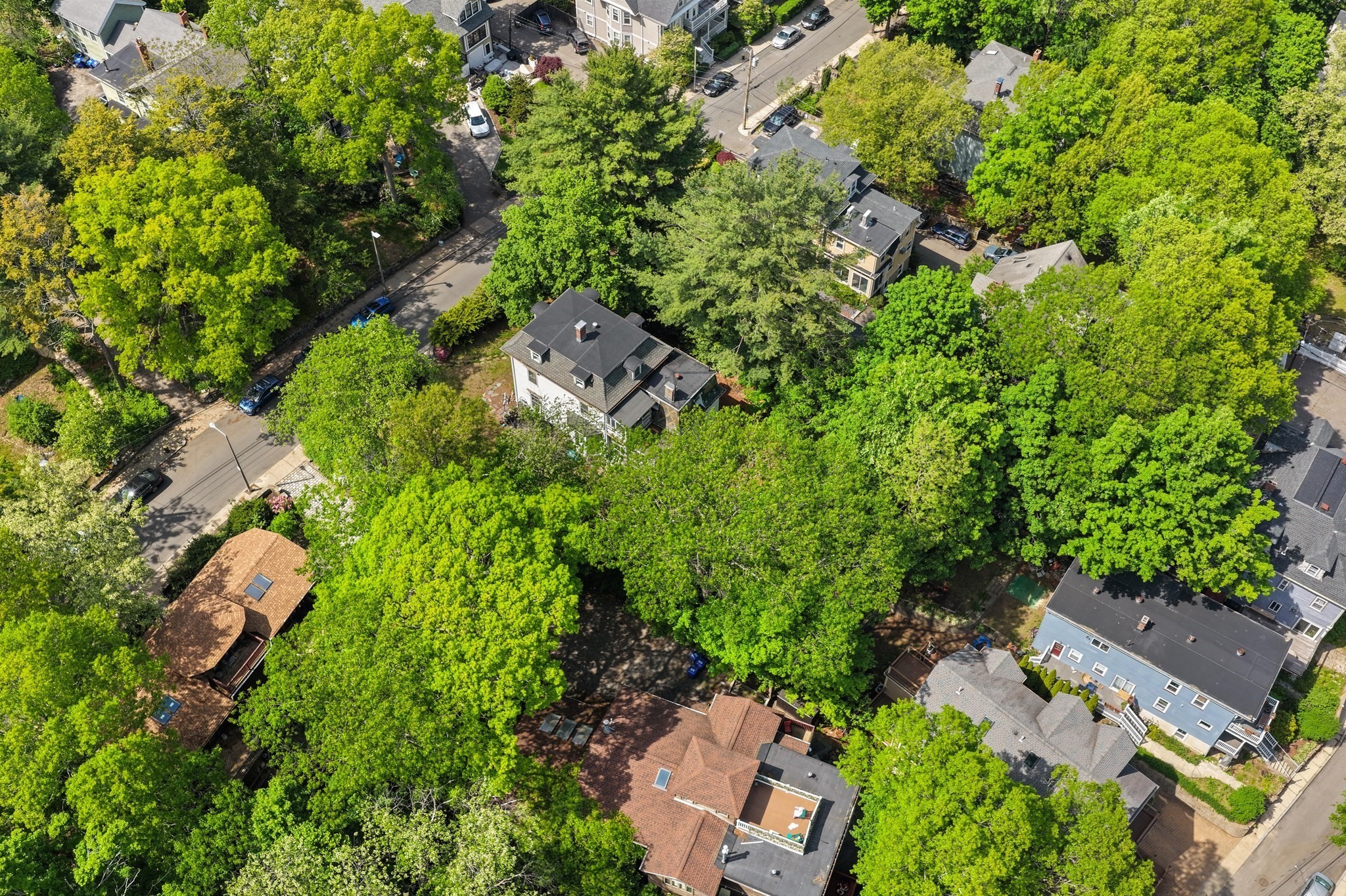 212 Chestnut Ave, Jamaica Plain, Boston, MA 02130 - Image 15
