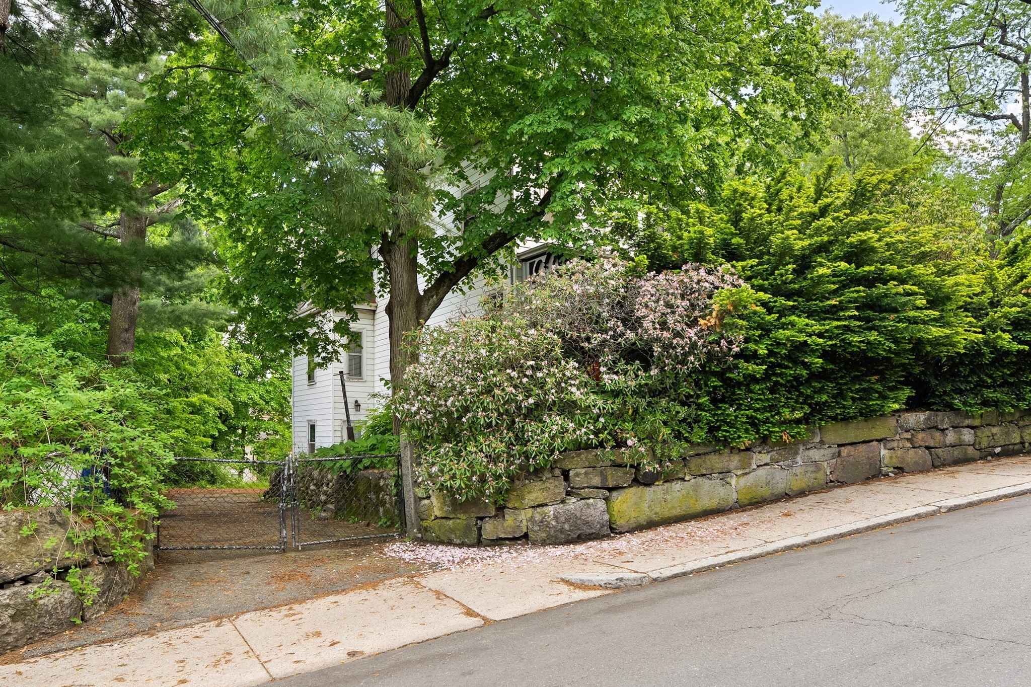 212 Chestnut Ave, Jamaica Plain, Boston, MA 02130 - Image 18
