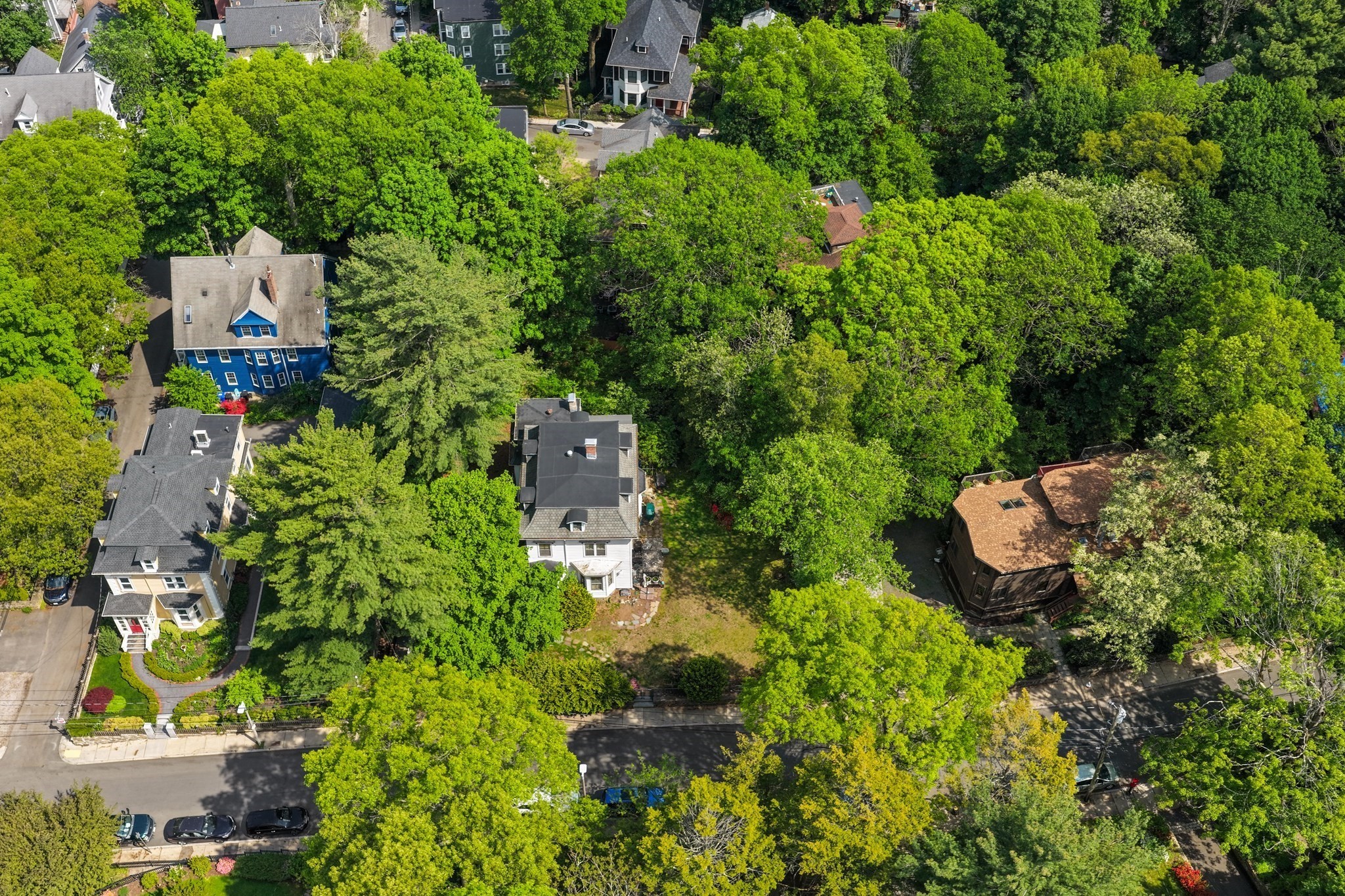 212 Chestnut Ave, Jamaica Plain, Boston, MA 02130 - Image 21