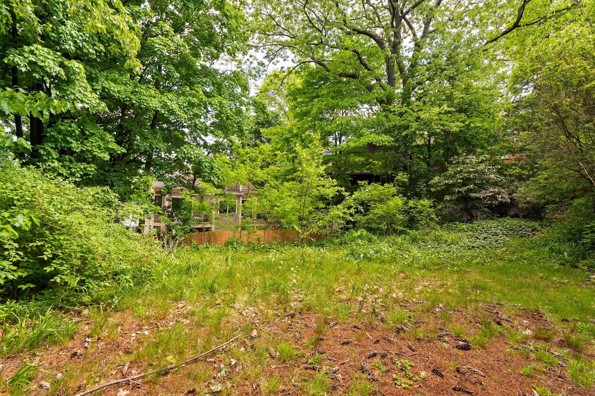 212 Chestnut Ave, Jamaica Plain, Boston, MA 02130 - Image 10