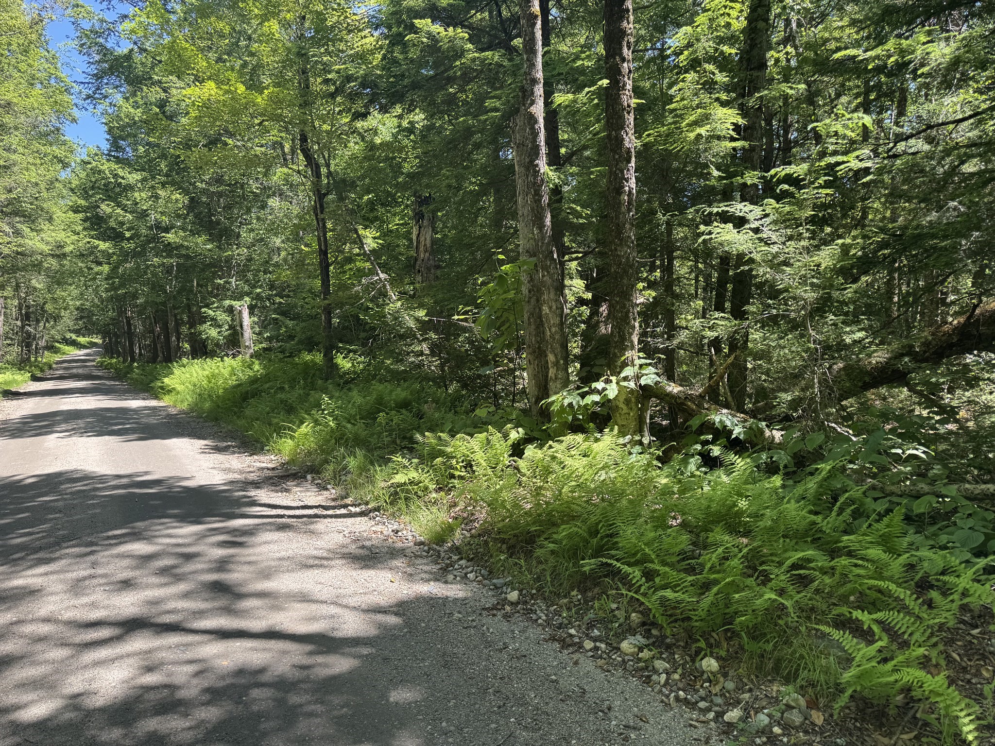 0 Old Stage Rd, Ashfield, MA 01330
