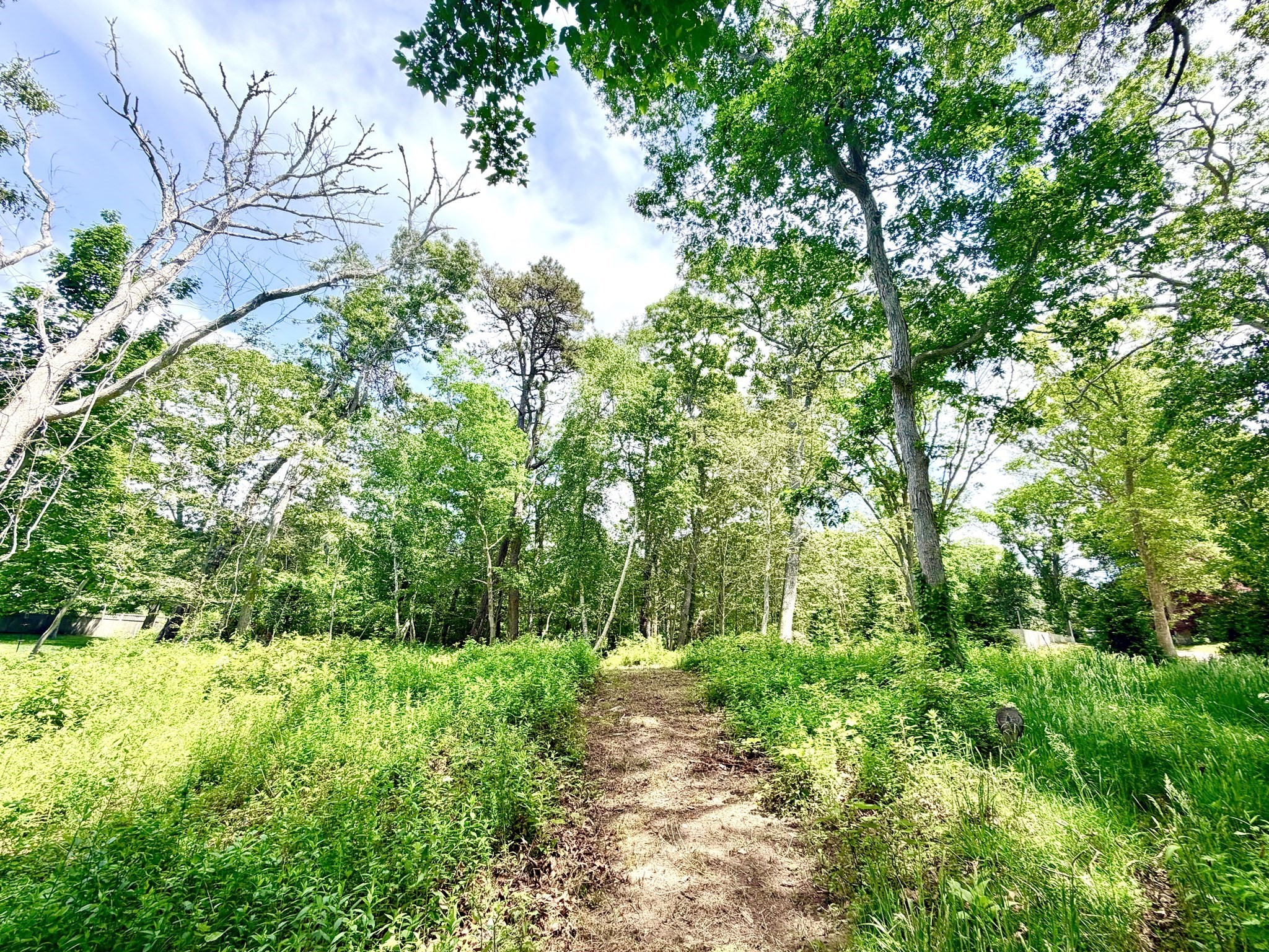 52 Heath Hen Ln., Tisbury, MA 02568