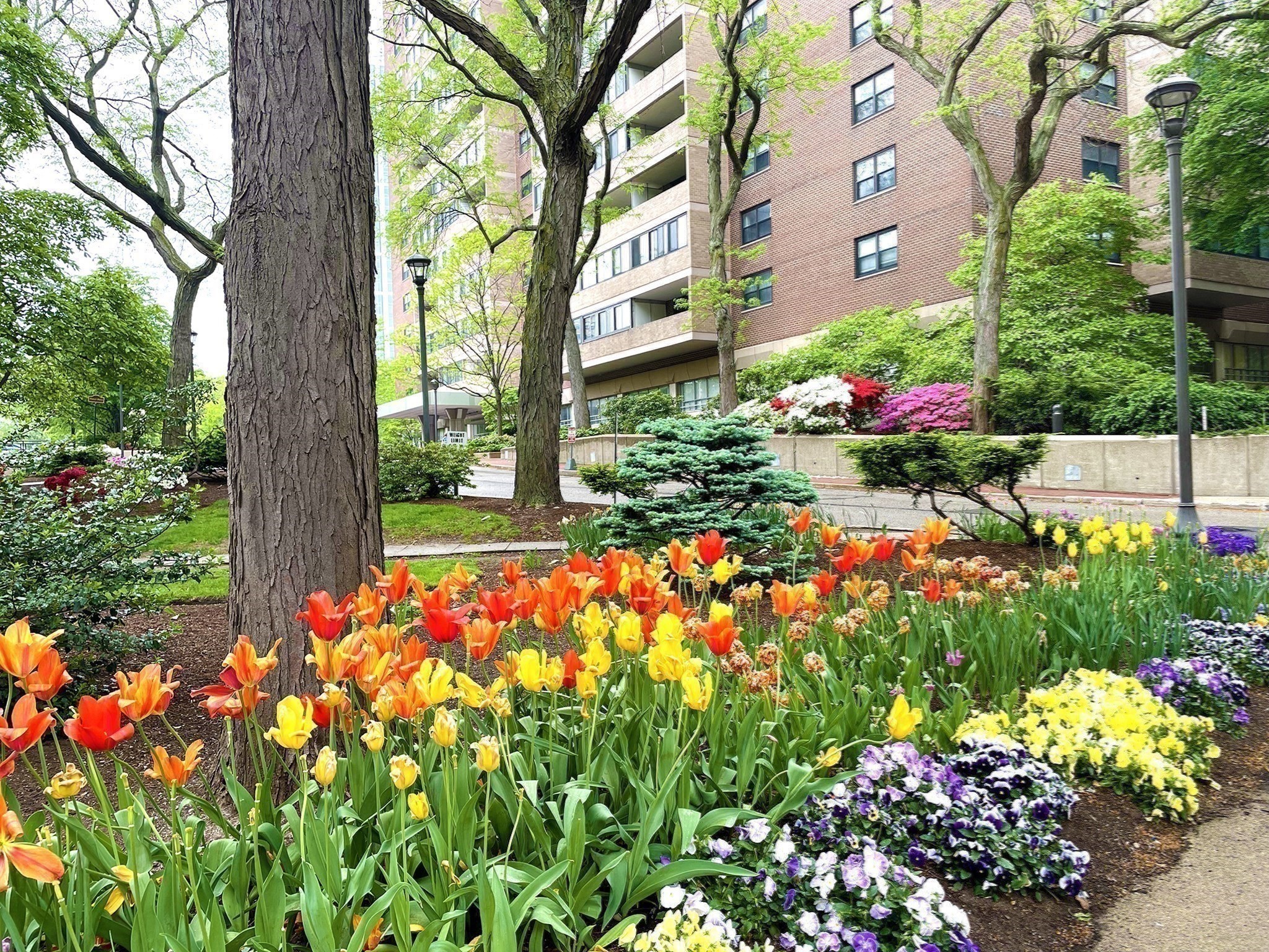 2 Hawthorne Pl Unit 5M, West End, Boston, MA 02114 - Image 23