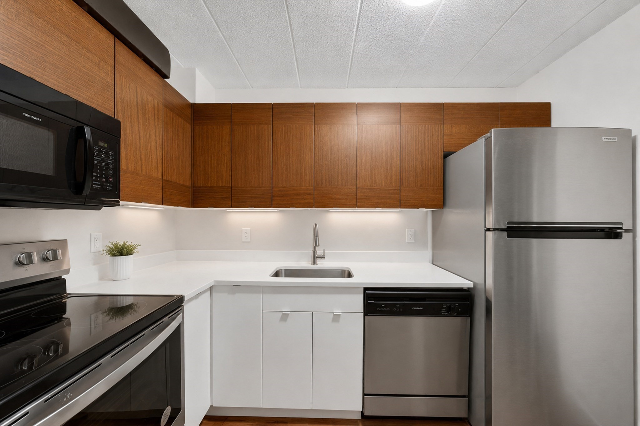 345 Harvard St Unit 4A, Cambridge, MA 02138