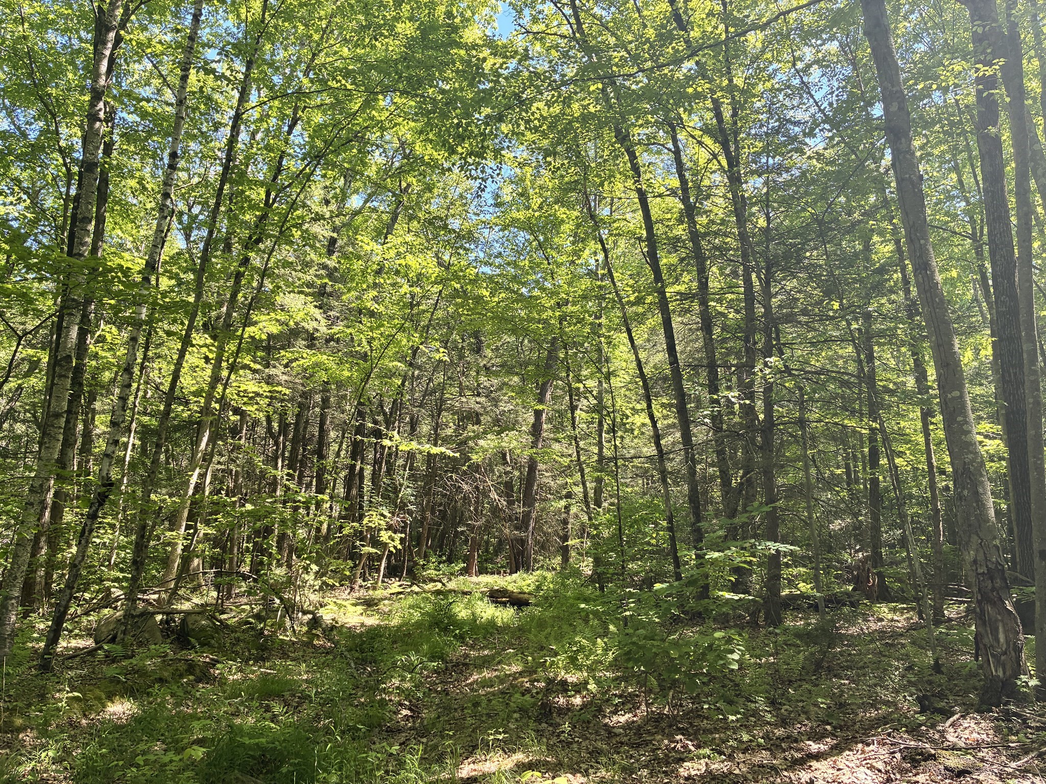 0 Summit St, Belchertown, MA 01007
