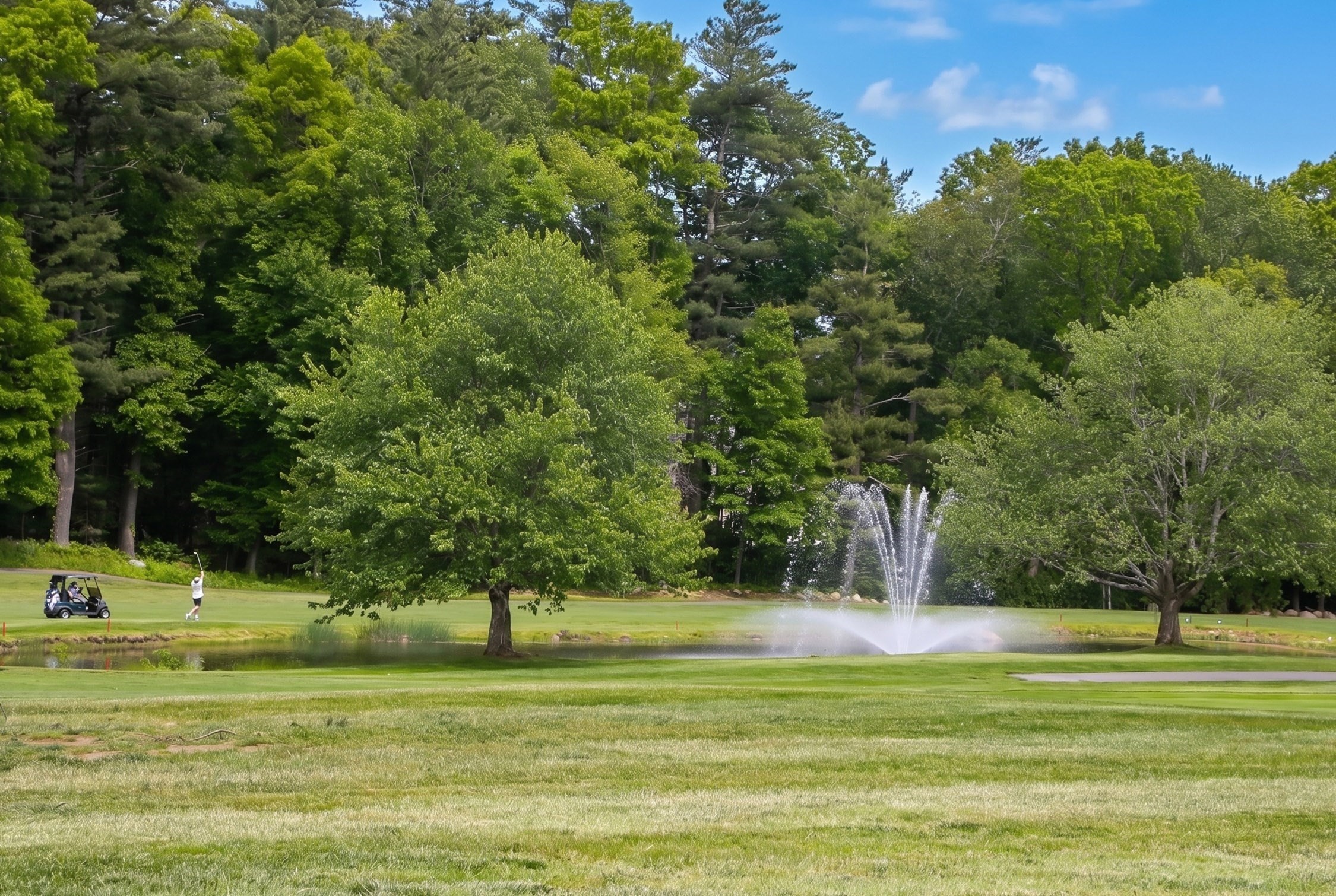 30 Brassie Way Unit 30, North Reading, MA 01864 - Image 3