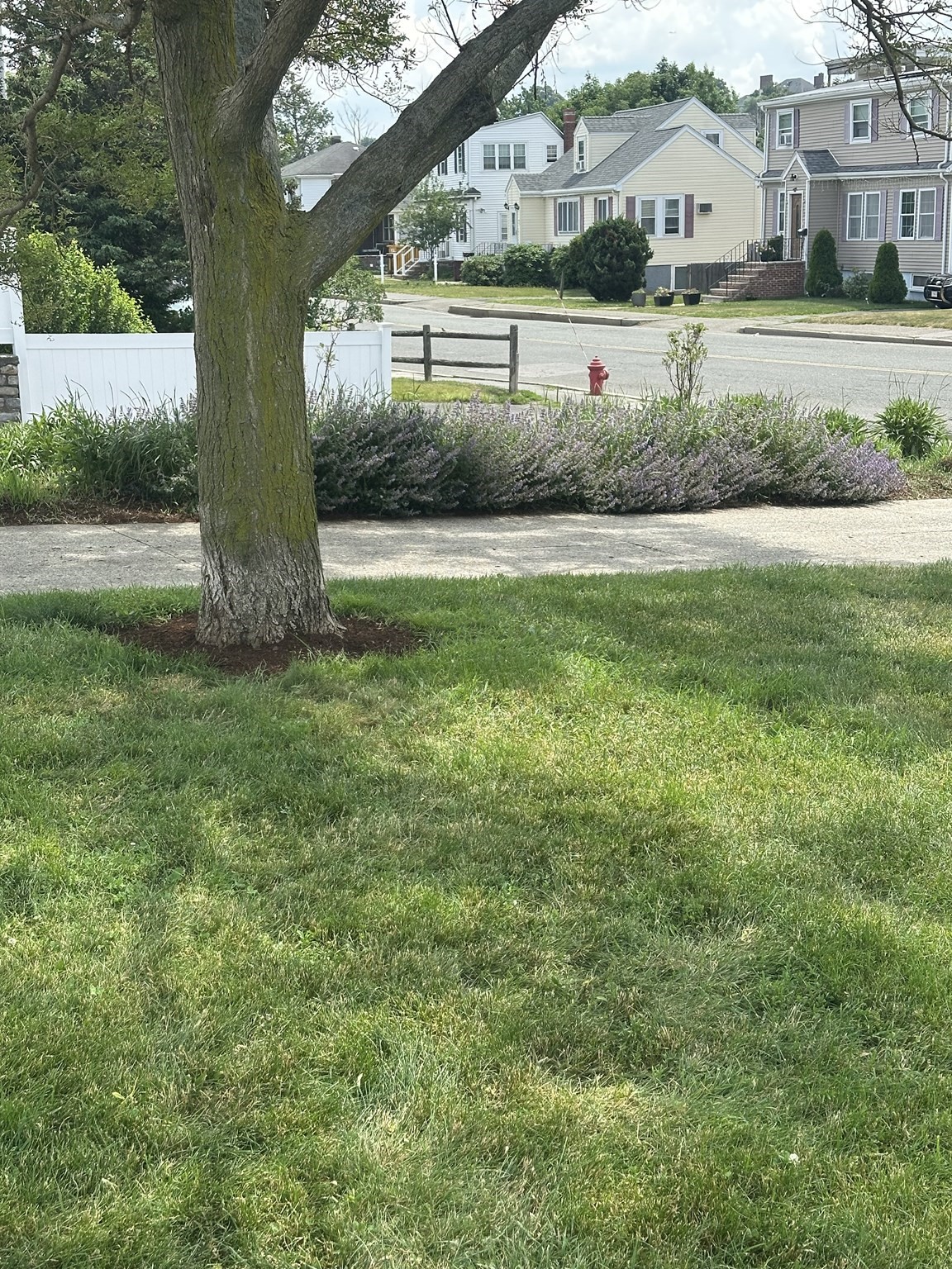 33 Wave Ave Unit U:3, Revere, MA 02151 - Image 11