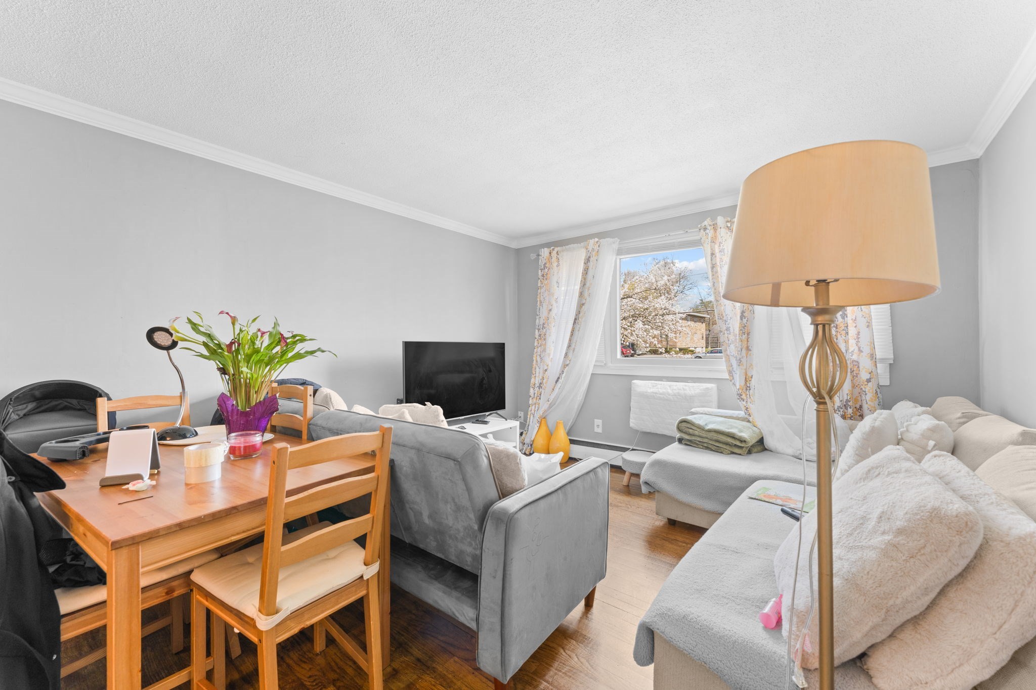 20 Auna Drive Unit Unit-7, Brockton, MA 02301 - Image 5