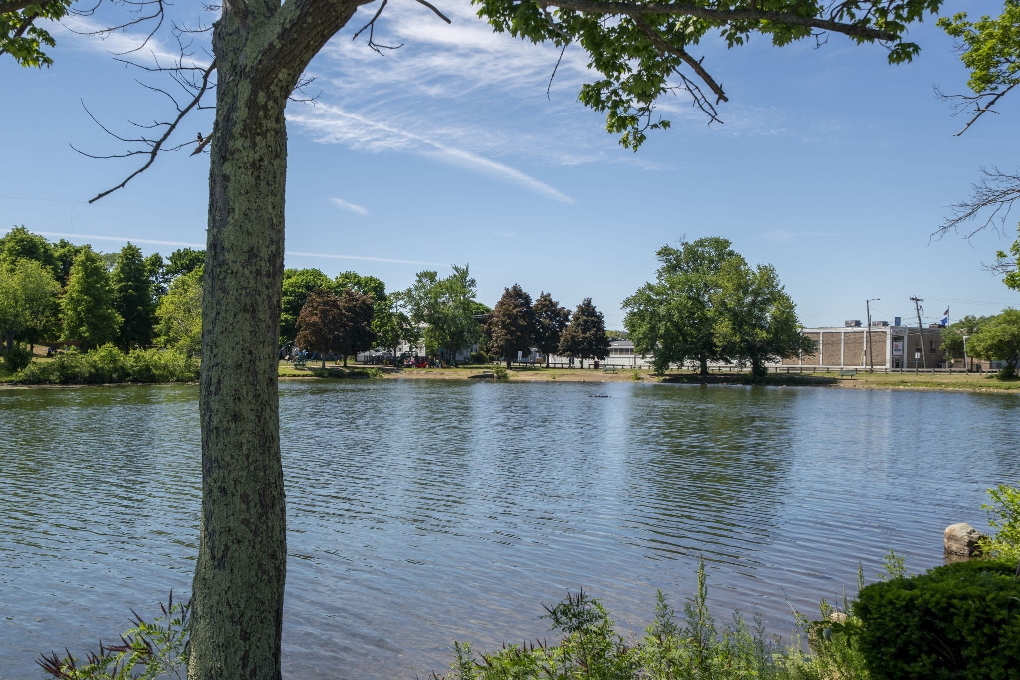 40 Carter Rd, Lynn, MA 01904