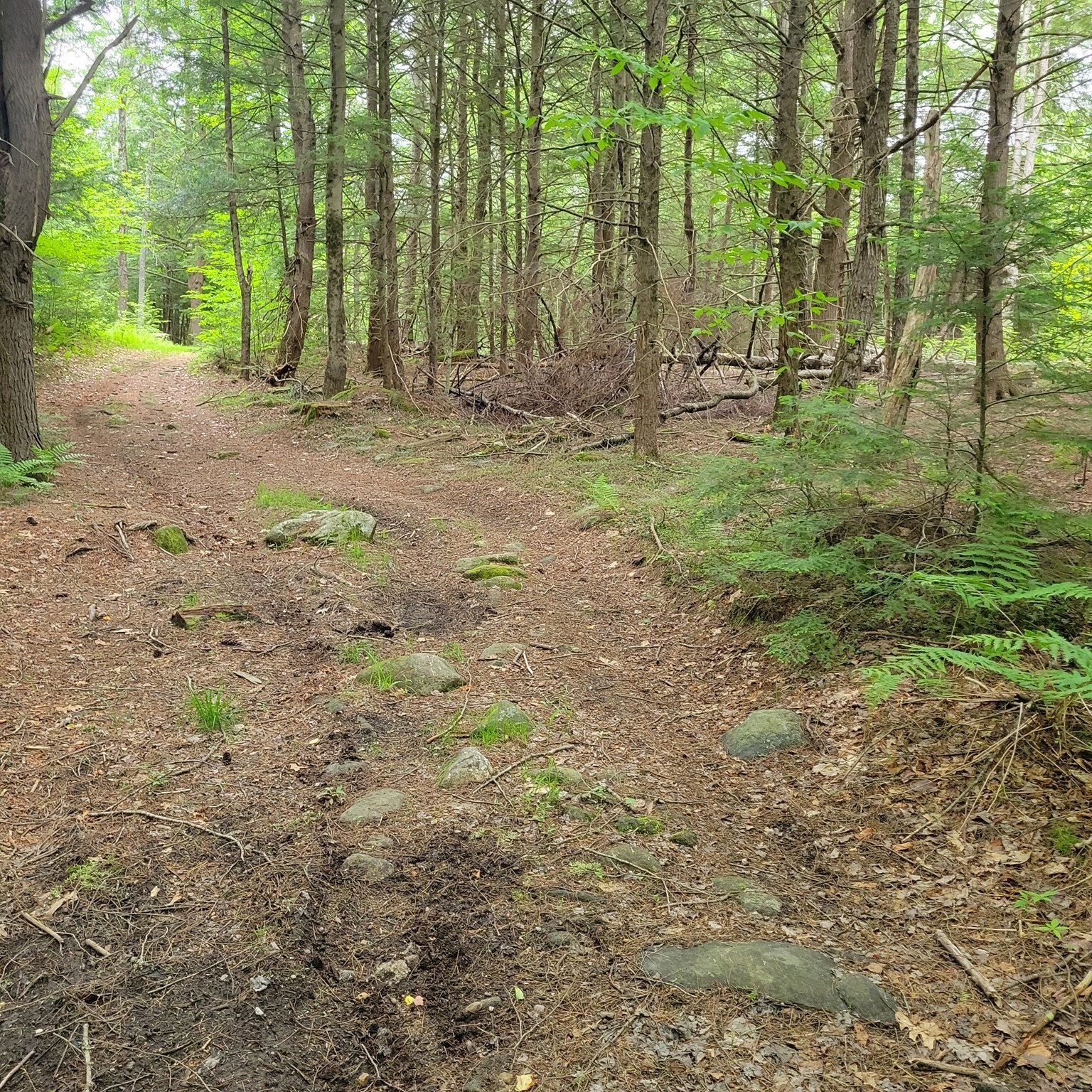 0 Stockwell Road, Royalston, MA 01368