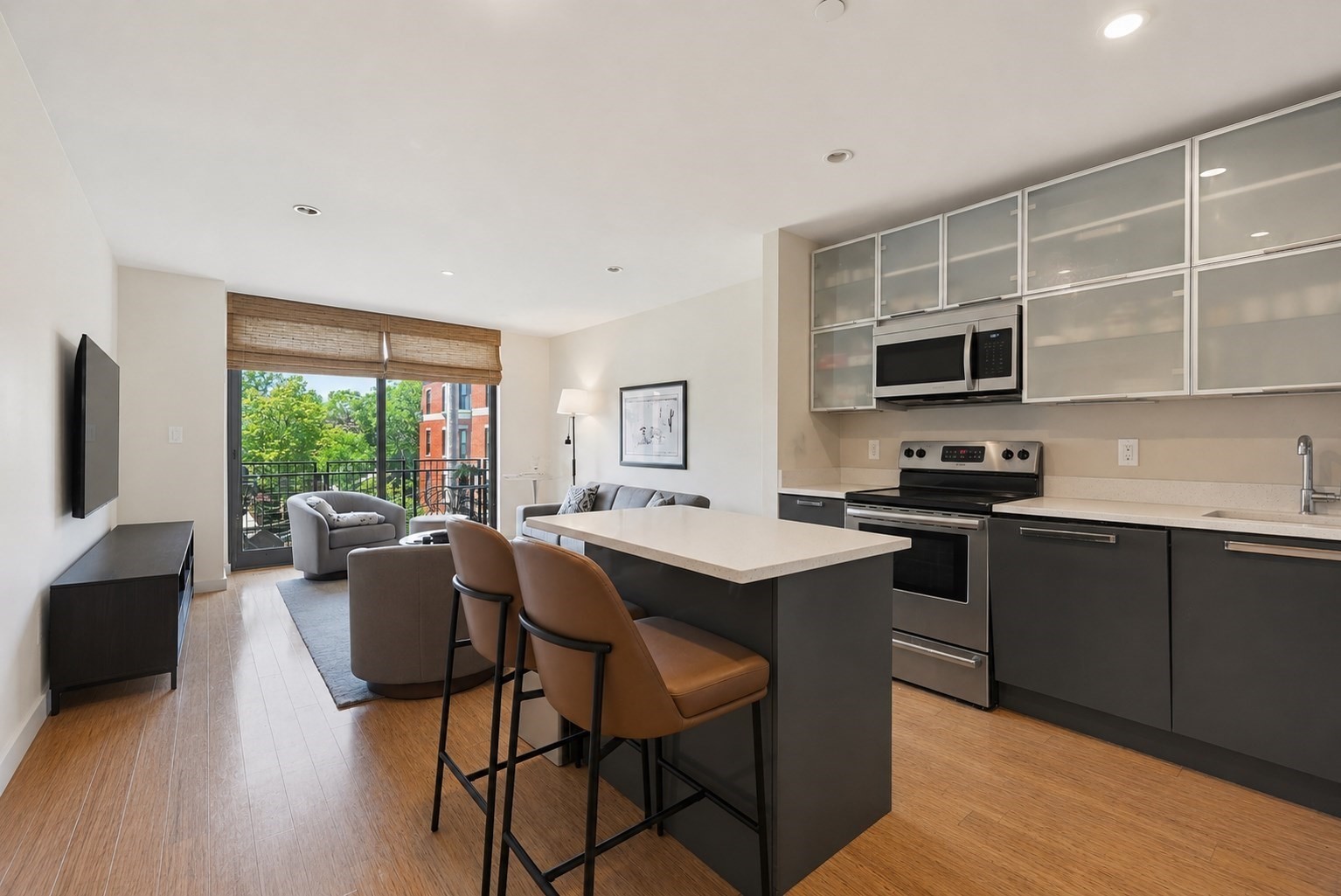 691 Massachusetts Avenue Unit 301, Roxbury, Boston, MA 02118