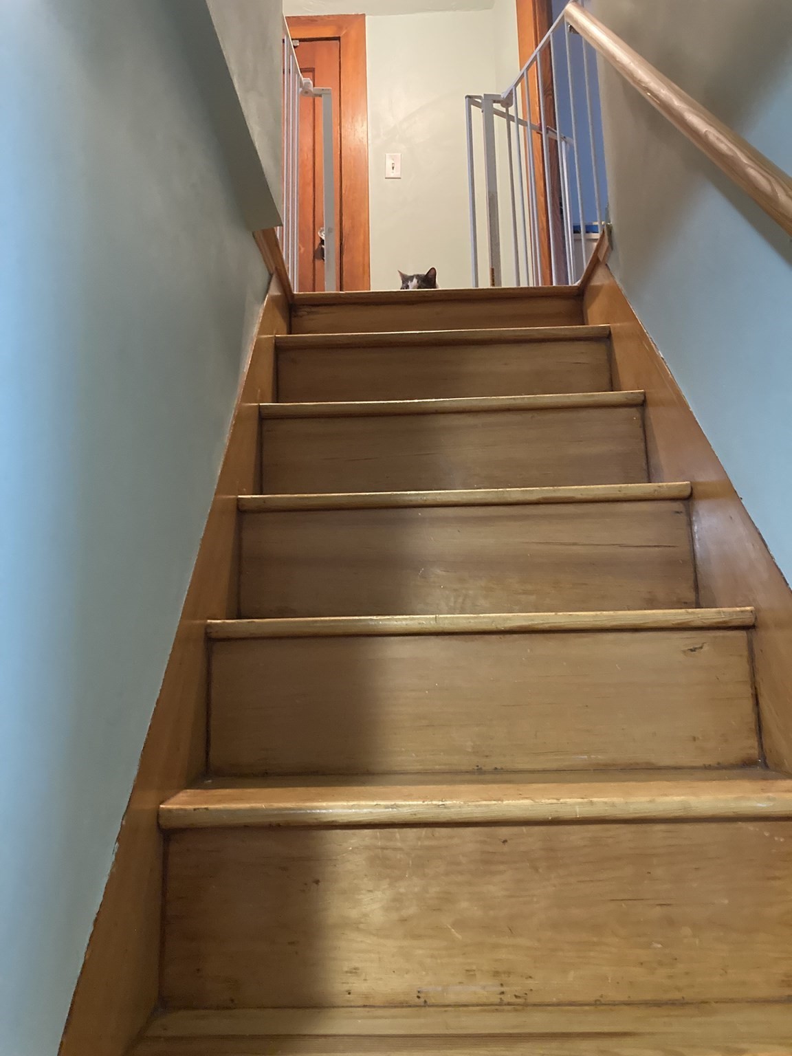 12 Denny Pl, Leicester, MA 01542 - Image 21