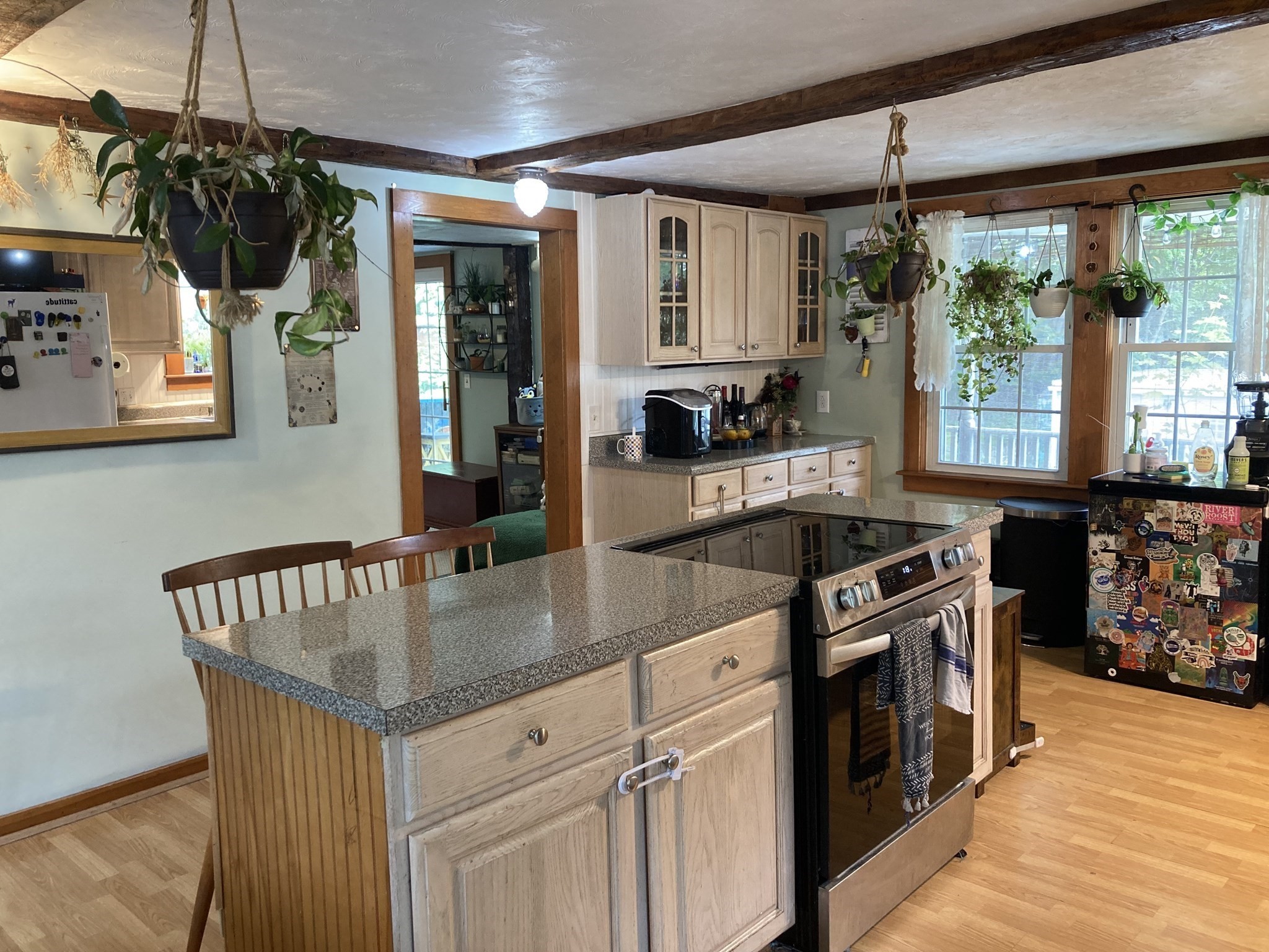 12 Denny Pl, Leicester, MA 01542 - Image 5
