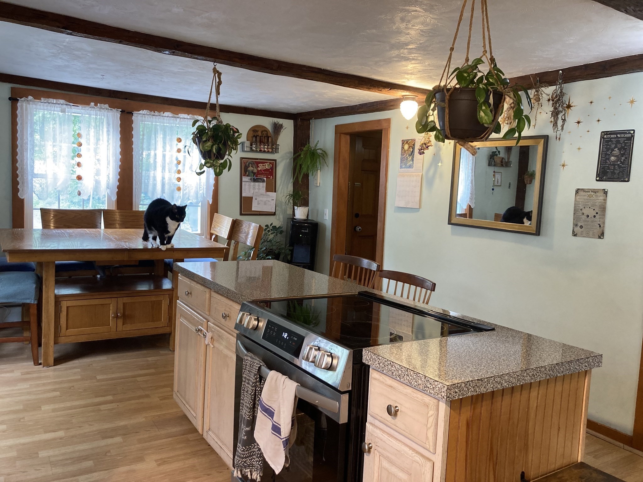 12 Denny Pl, Leicester, MA 01542 - Image 6