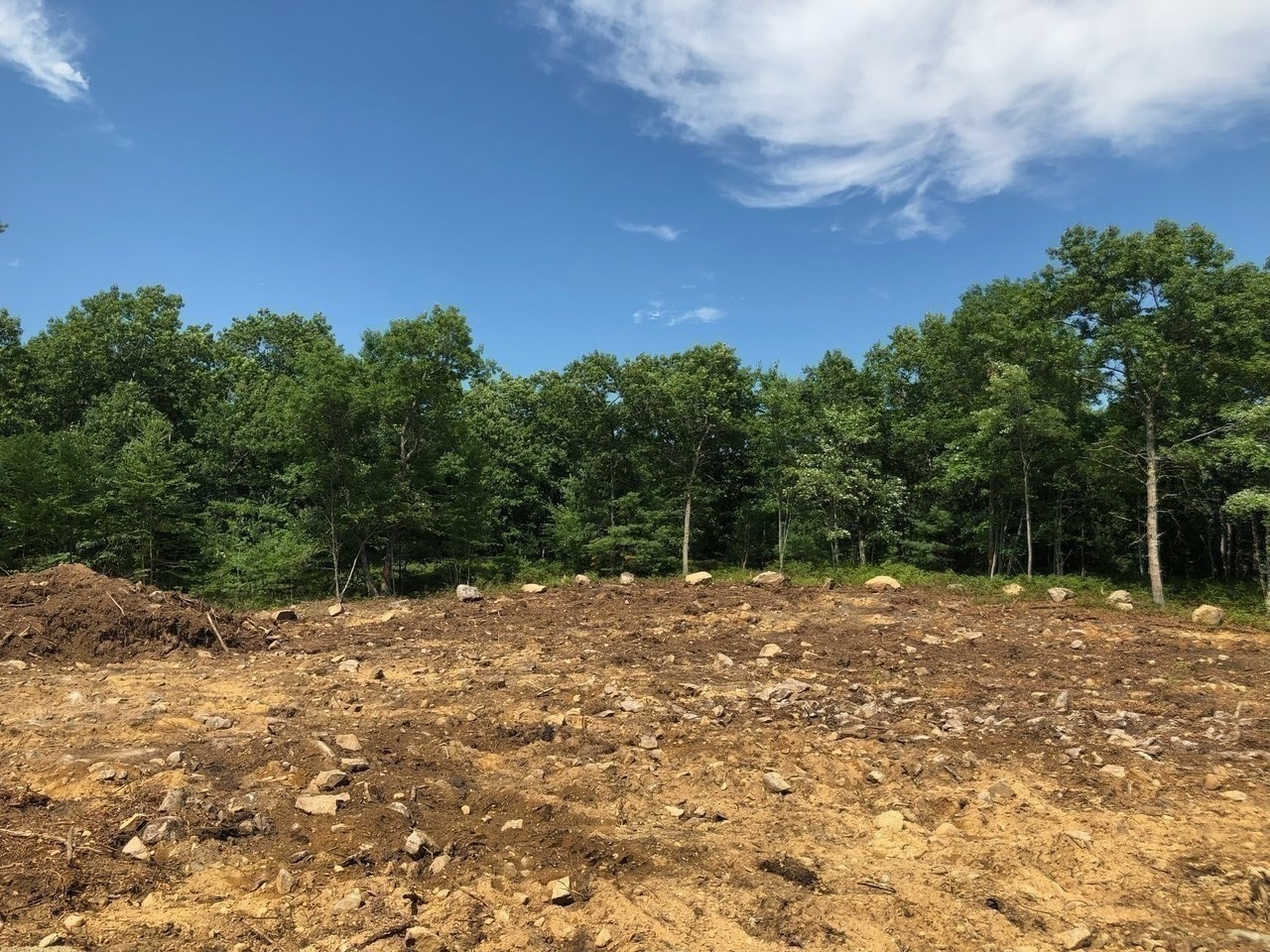 376 Mountain St, Sharon, MA 02067 - Image 10