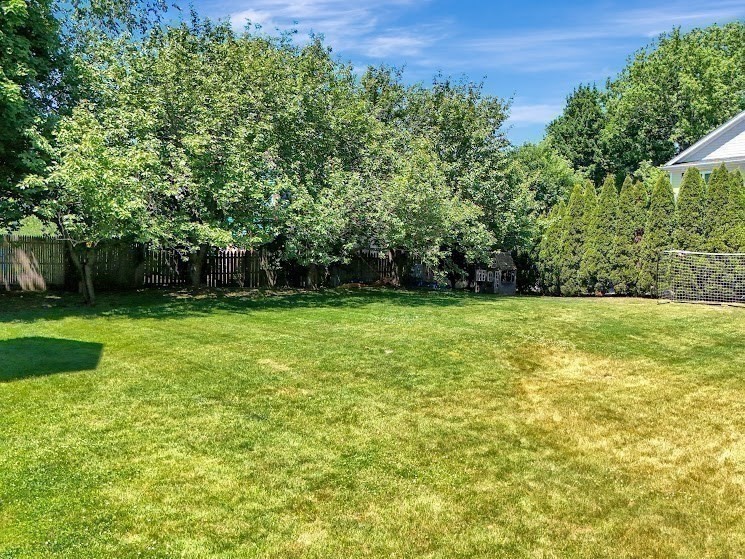 13 Green St Unit 13, Newton, MA 02458 - Image 23
