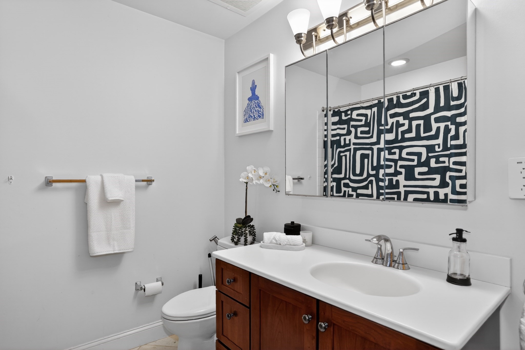 17 Ivaloo St Unit 6, Somerville, MA 02143 - Image 17