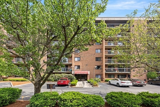 289 Elm St, Apt 15