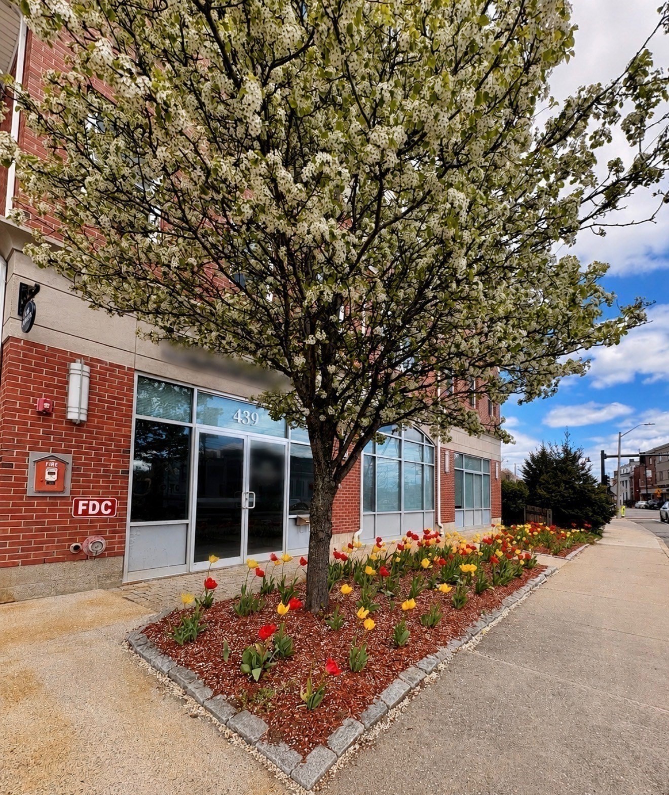 441 Washington St Unit 203, Dedham, MA 02026