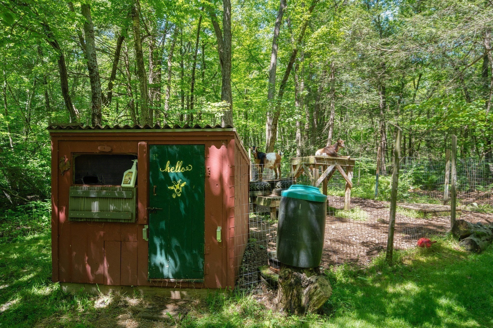 164 White Birch St, Leicester, MA 01524 - Image 38