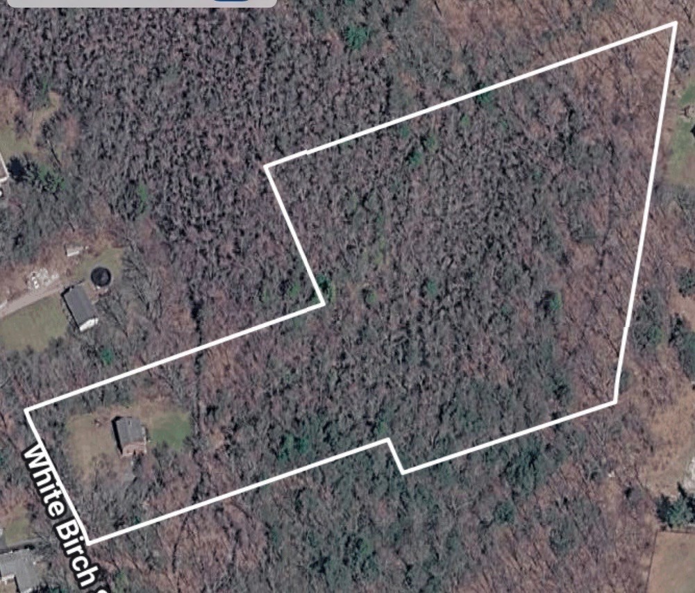 164 White Birch St, Leicester, MA 01524 - Image 39
