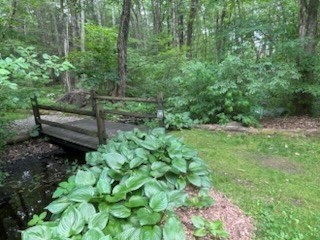 164 White Birch St, Leicester, MA 01524 - Image 40