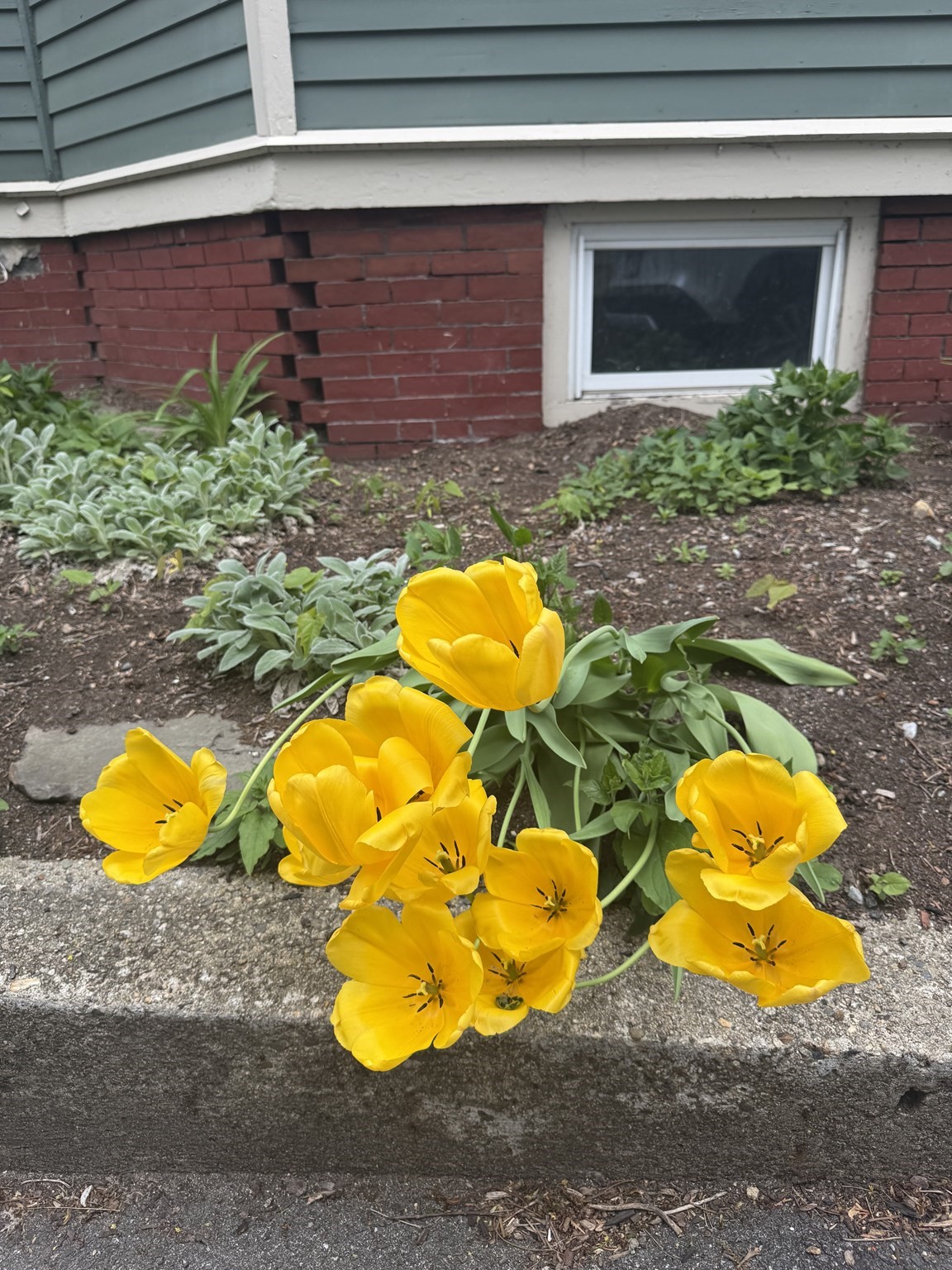 25 Banks St Unit 2, Somerville, MA 02144 - Image 27