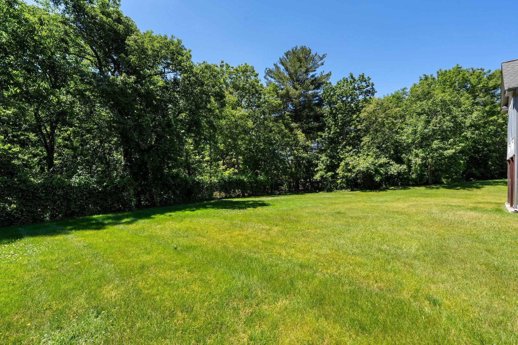 894 Liberty Street Unit 6, Braintree, MA 02184 - Image 28