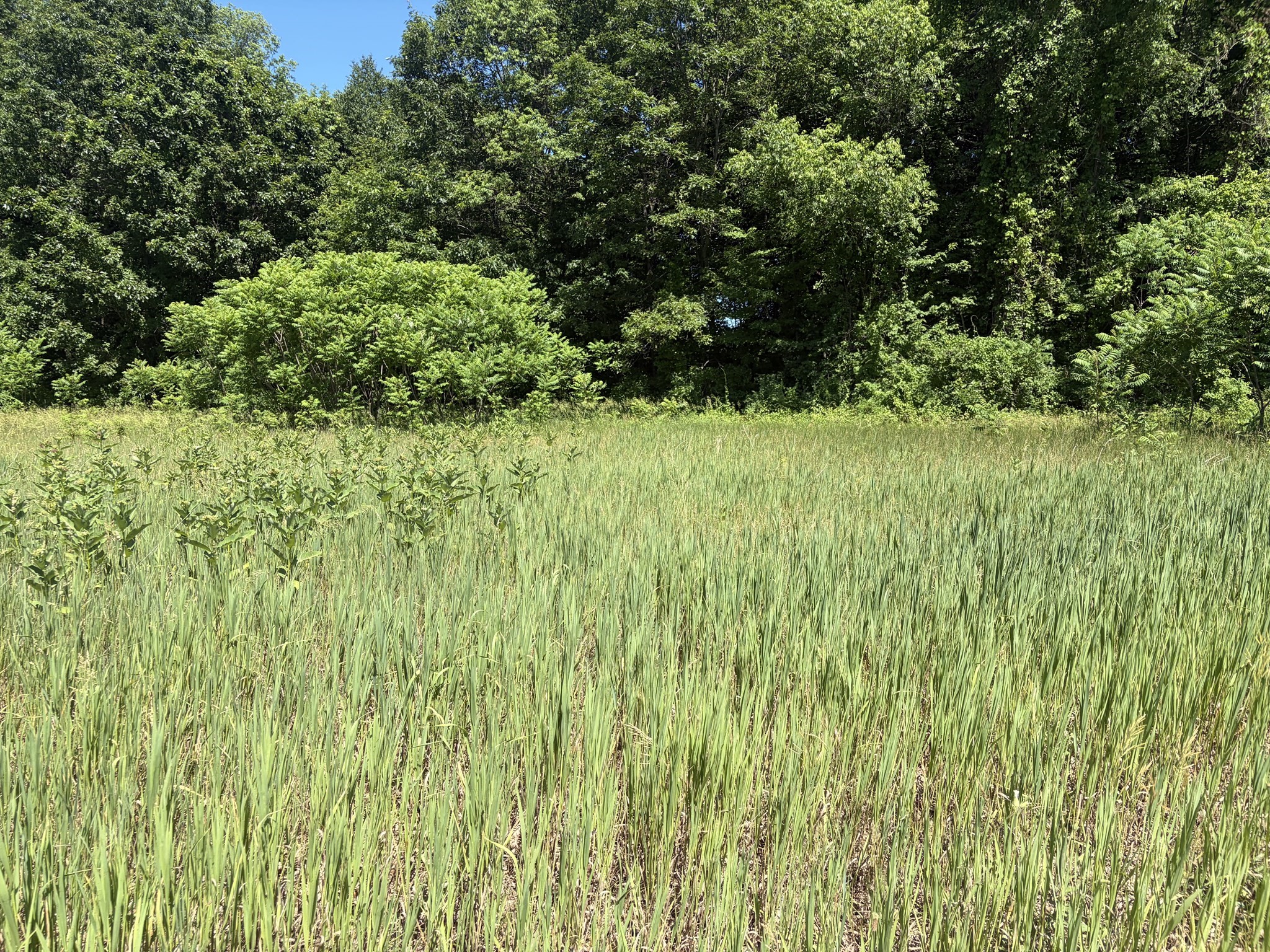 0 Straits Road, Hatfield, MA 01038