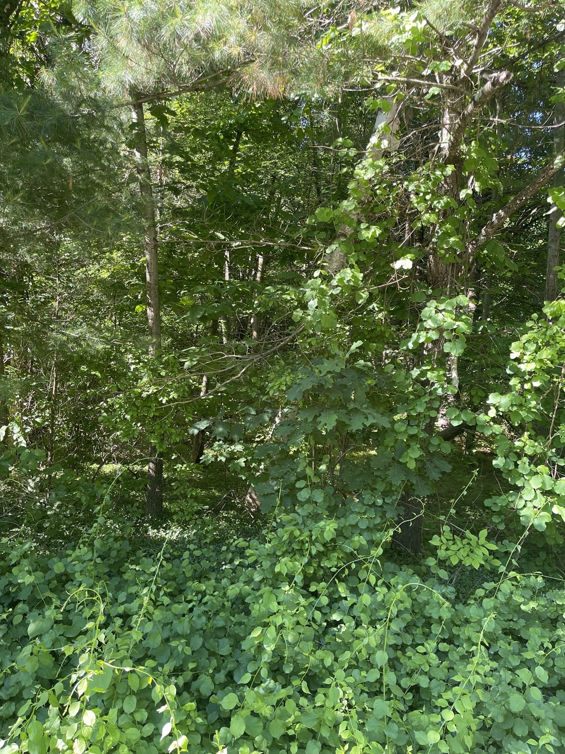  Ware Rd, Belchertown, MA 01007