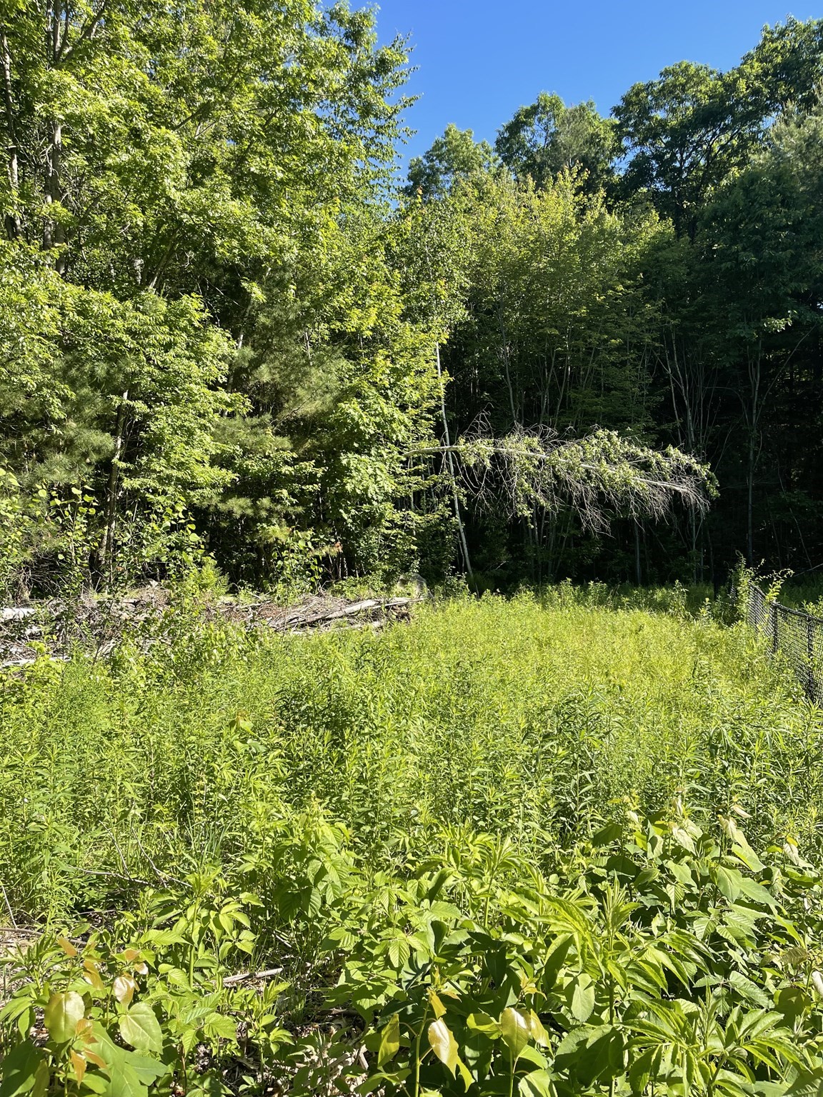 2 Jason'S Way, Belchertown, MA 01007