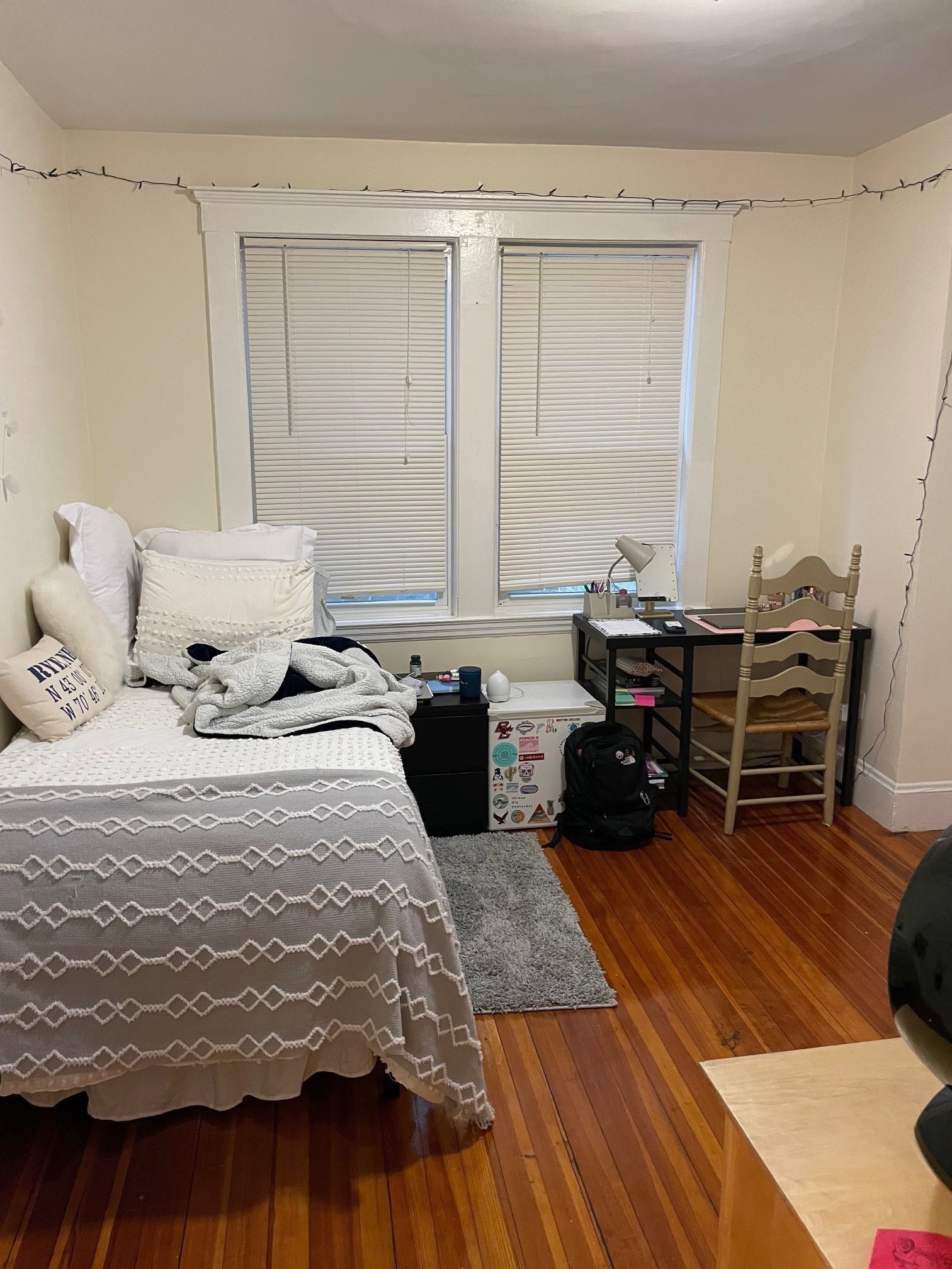 213 Chestnut Hill Ave, Boston College, Boston, MA 02135 - Image 30
