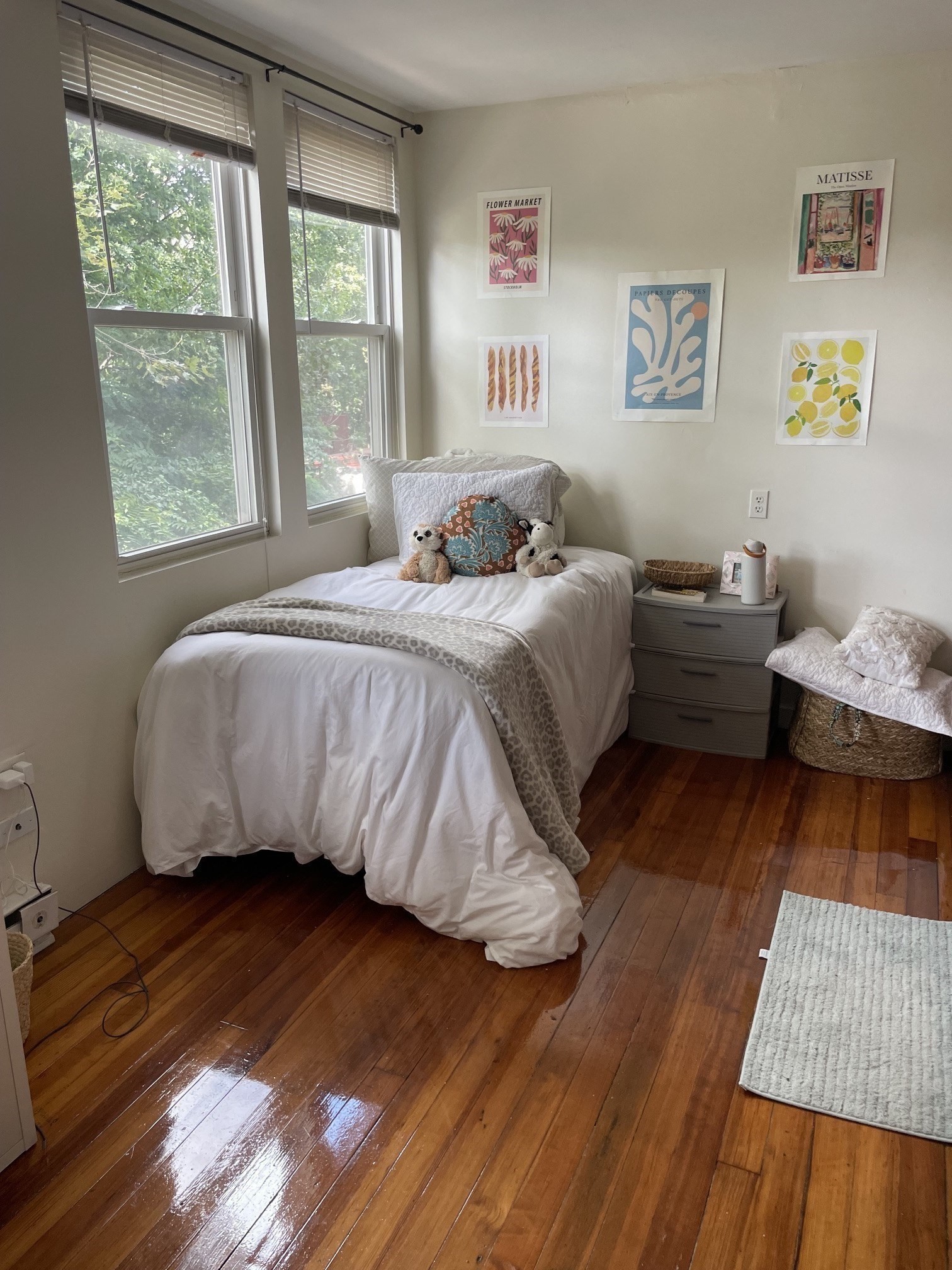 213 Chestnut Hill Ave, Boston College, Boston, MA 02135 - Image 31
