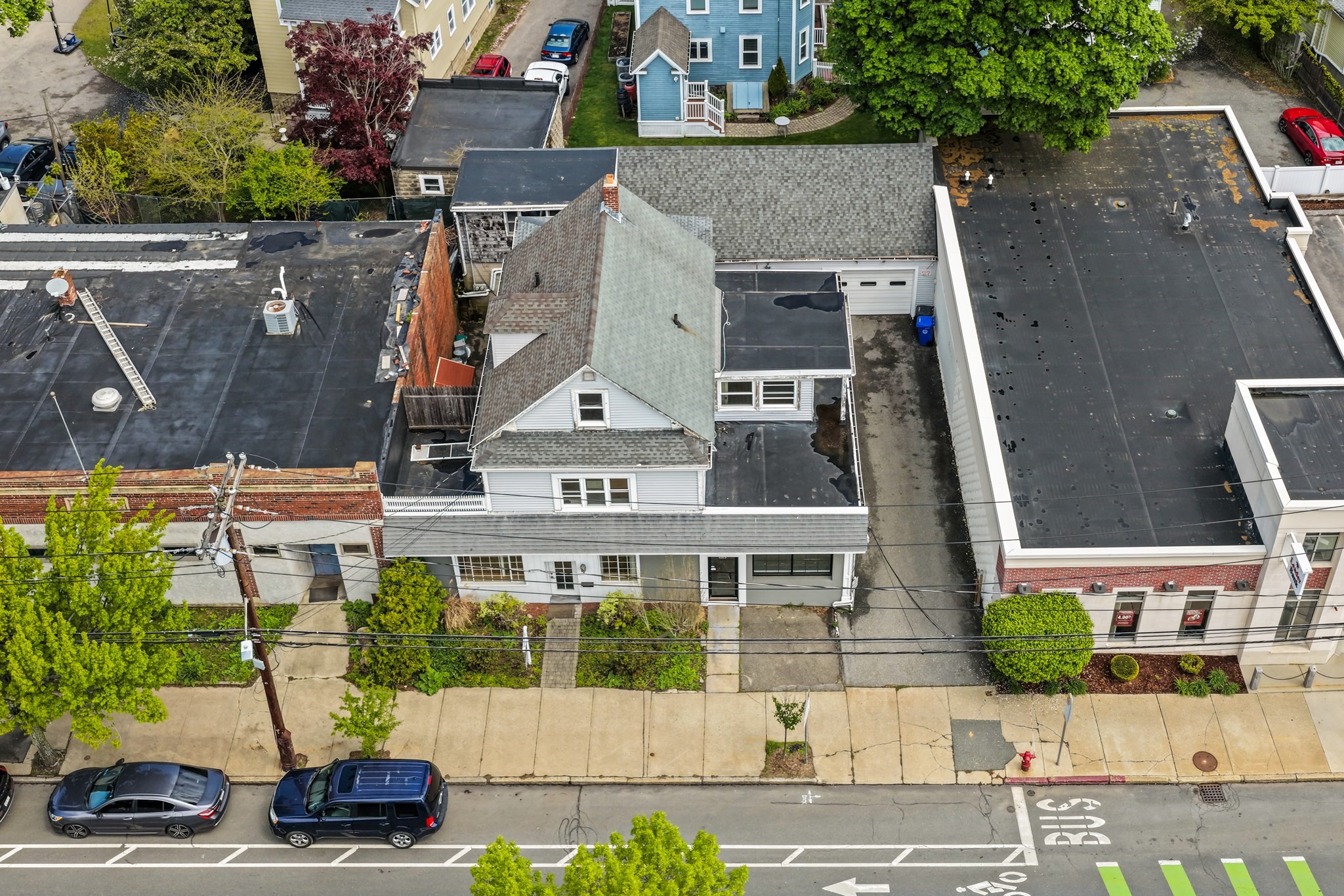 1205 Massachusetts Ave, Arlington, MA 02476 - Image 4