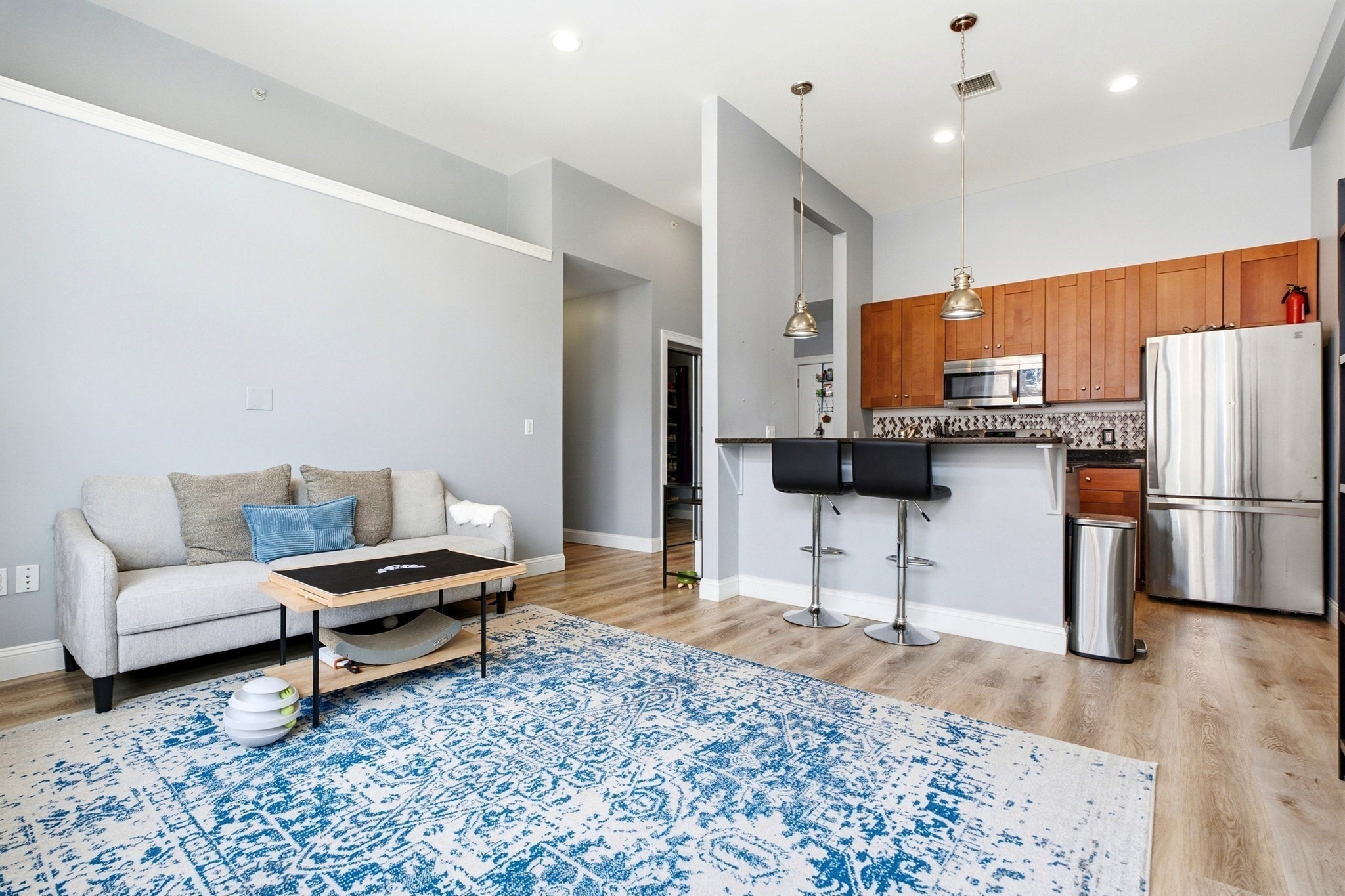 30 Broad St Unit 203, Marlborough, MA 01752