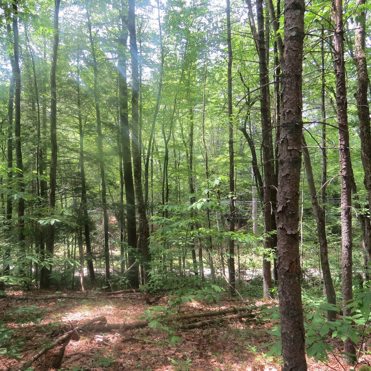 1 Pratt Corner Road, Leverett, MA 01054