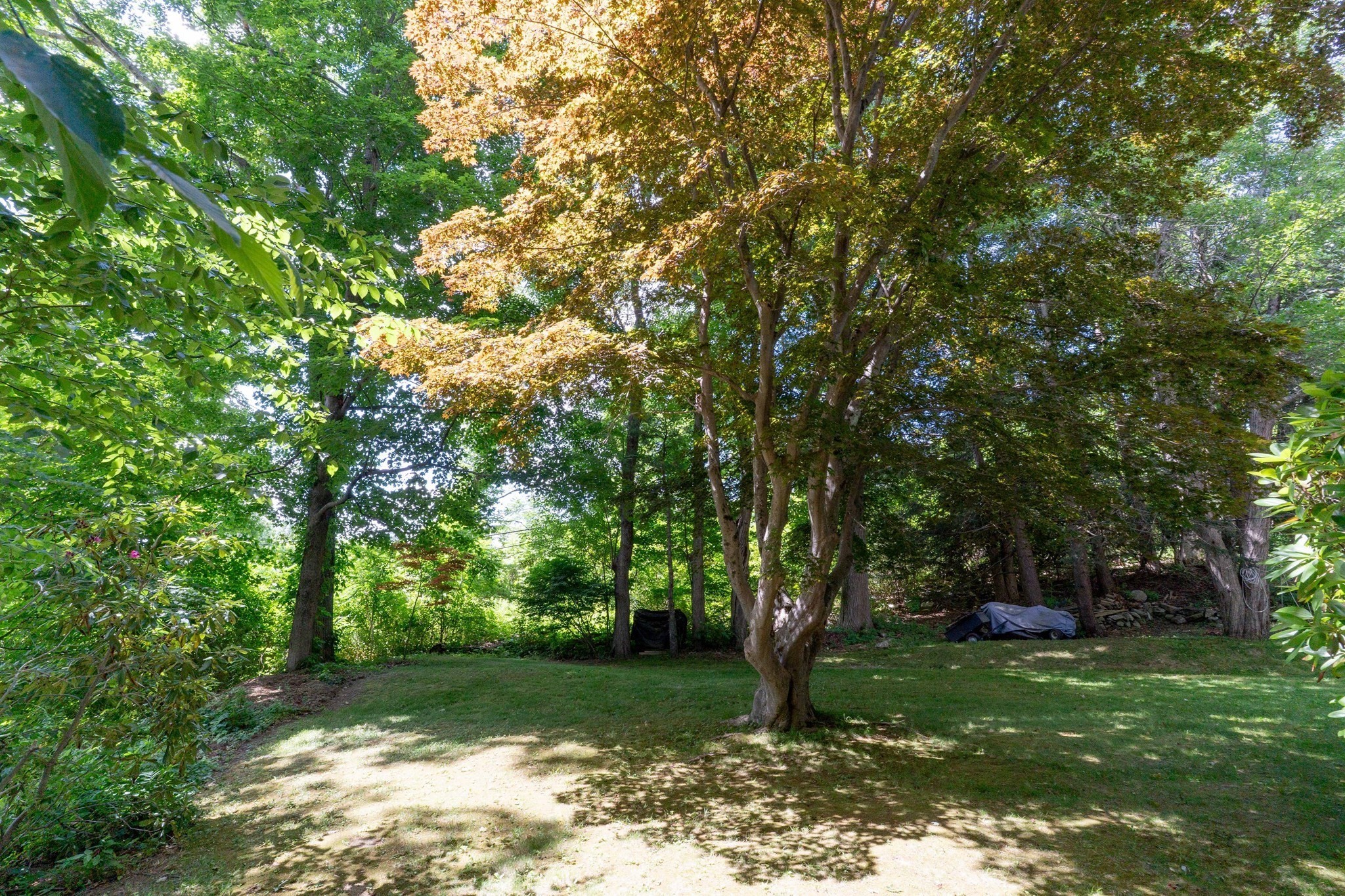 386 Pleasant St, Leicester, MA 01524 - Image 18