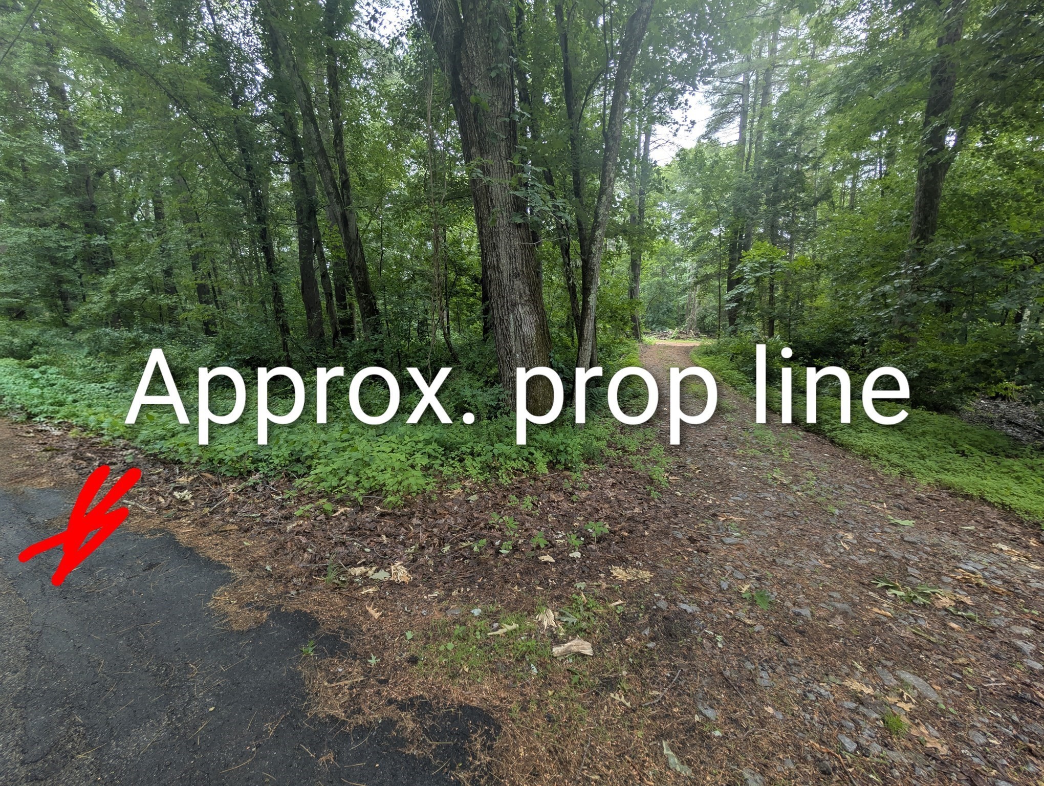  Baker Pond Rd, Charlton, MA 01507