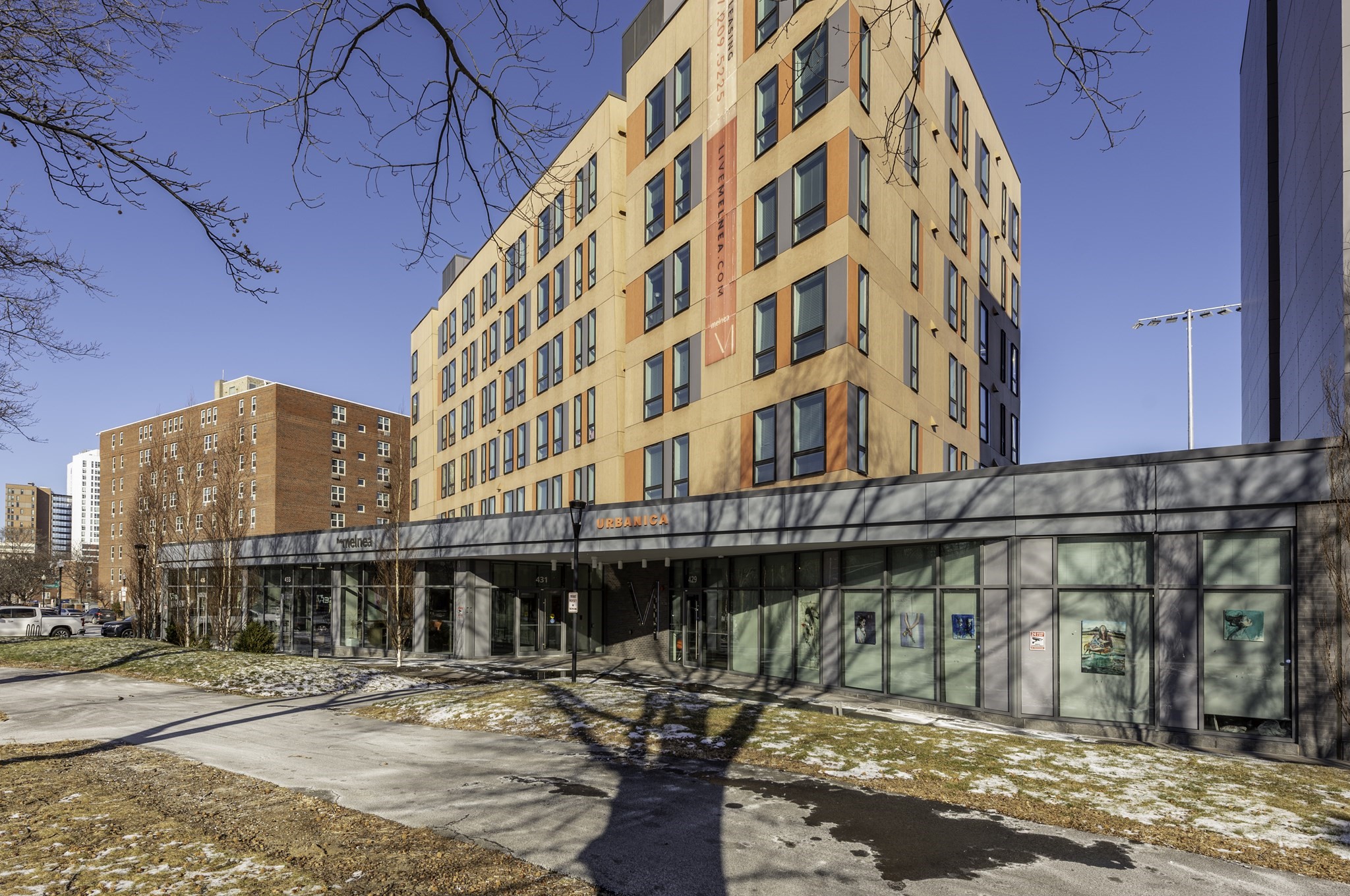 431 Melnea Cass Boulevard, Roxbury, Boston, MA 02119 - Image 4
