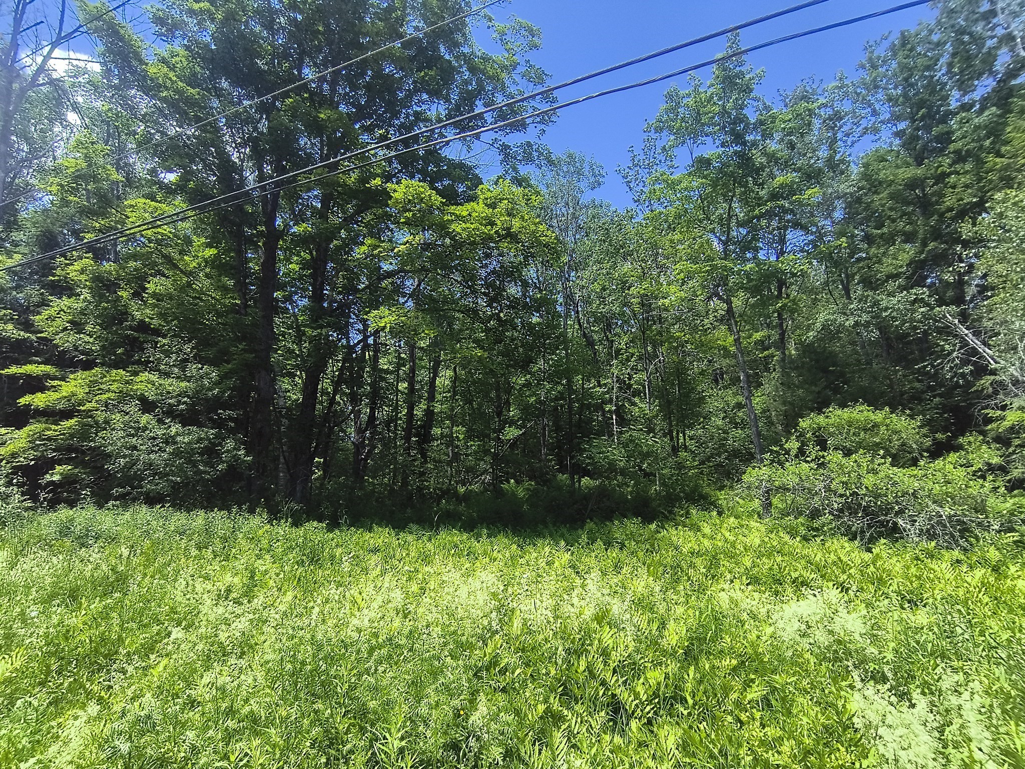 0 Brown Hill Road, Worthington, MA 01098