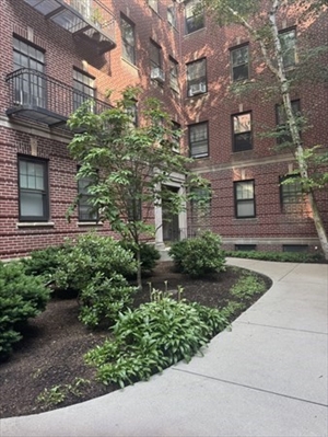 38 Linnaean Street, Apt 3